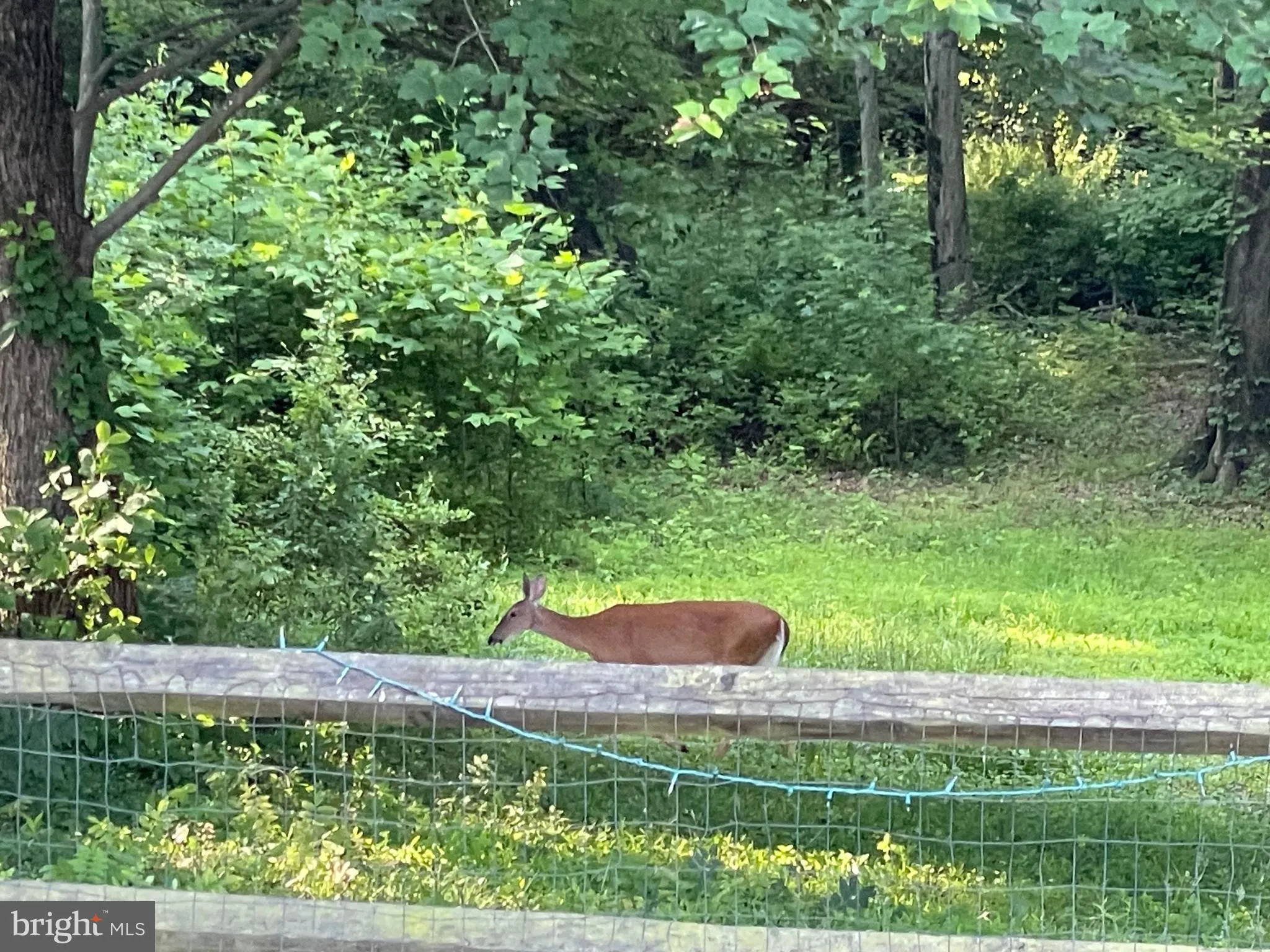 Fairfax, Virginia 22032, United States, 4 Bedrooms Bedrooms, ,3 BathroomsBathrooms,Residential,Coming Soon,172700