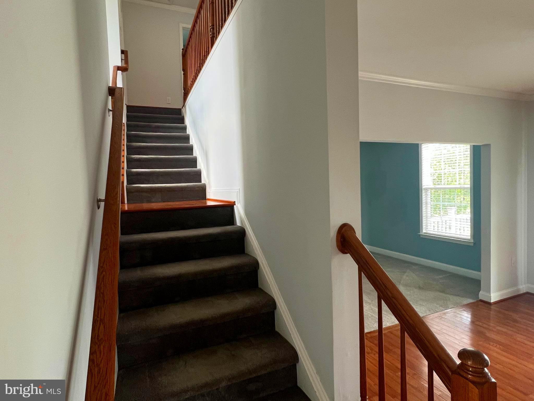 AMBERFIELD - Residential