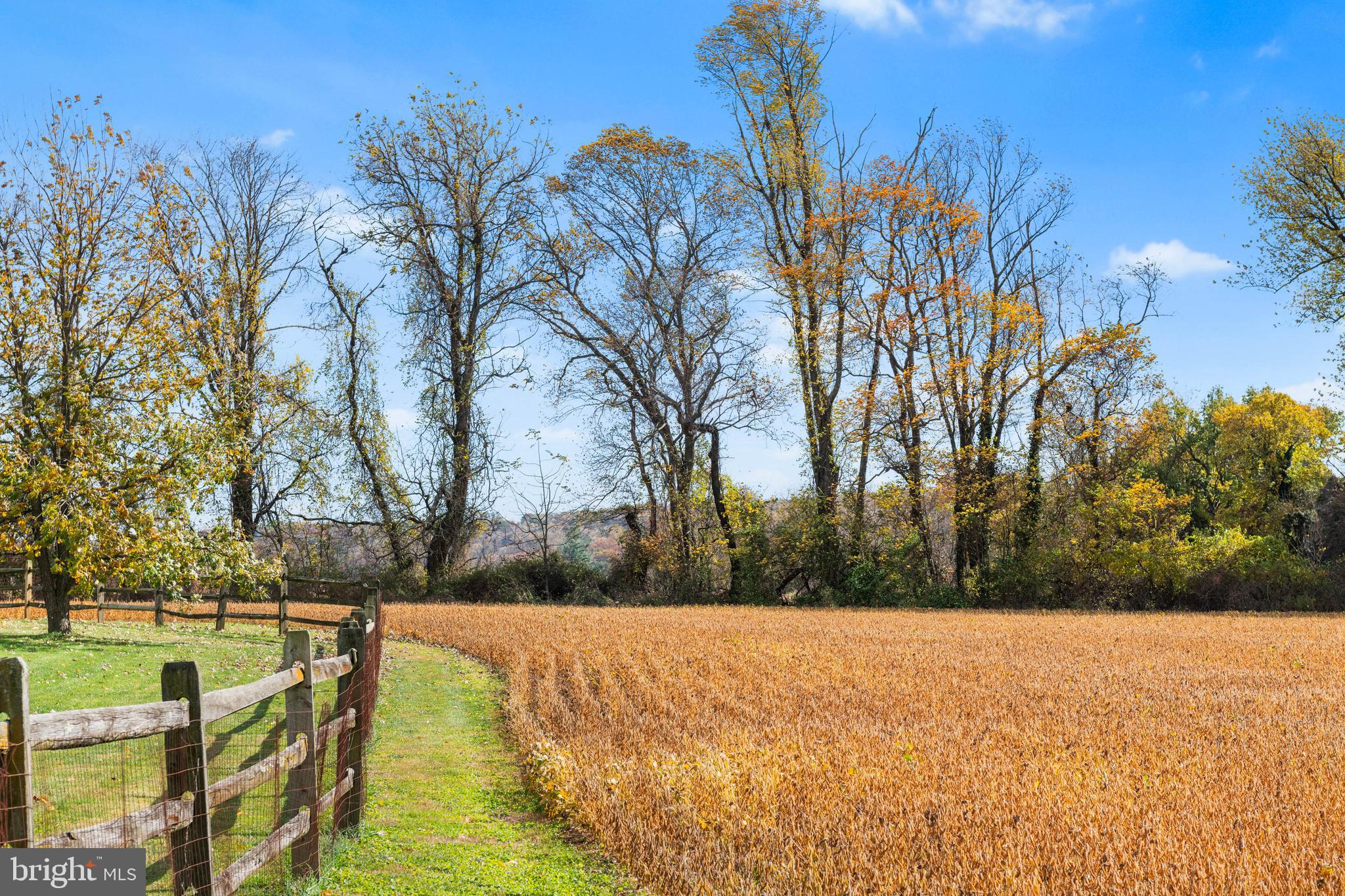 MY LADY'S MANOR - Farm