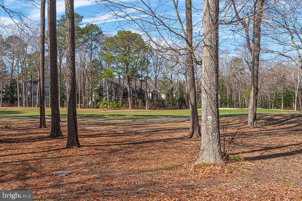 OCEAN PINES - SEABRIGHT - Residential