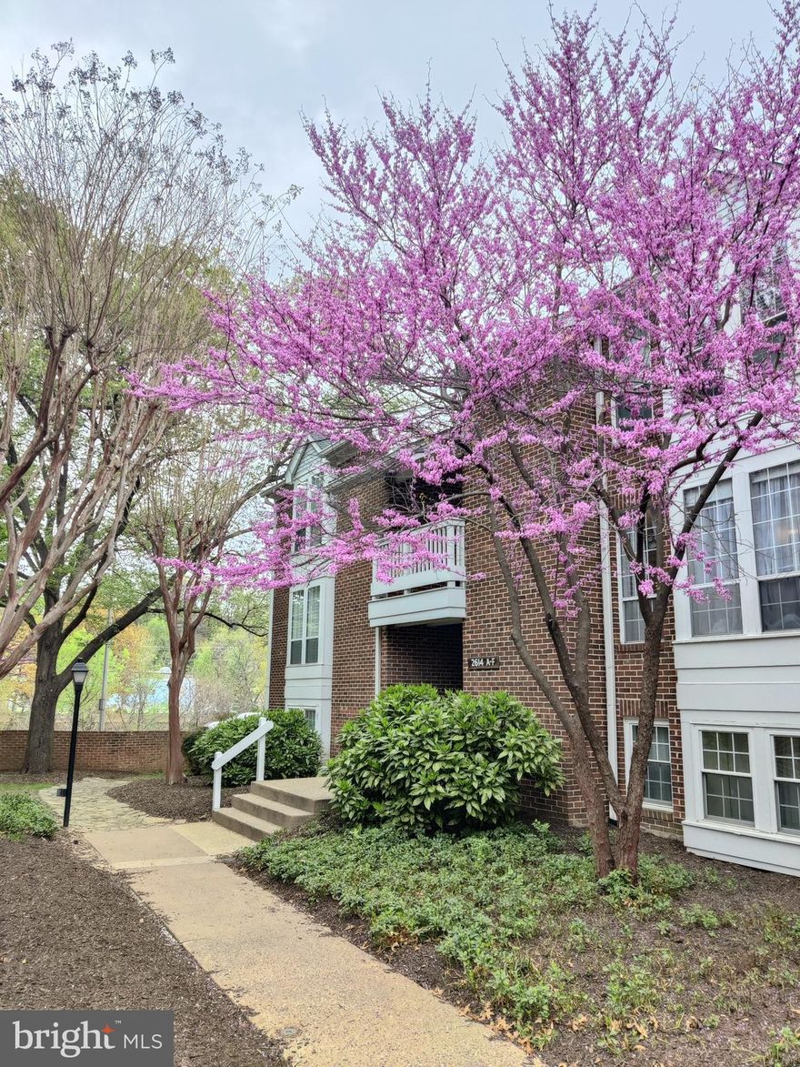 This stunning garden-style condo in the desirable Windgate neighborhood offers two bedrooms and one bath, with an open floor plan that seamlessly connects the spacious living room to a private patio that's perfect for hosting guests. A separate dining room is ideal for formal meals, while the kitchen boasts stainless steel appliances and white stone countertops as well as a deep extended green-house window that floods the space with natural light. The primary bedroom features a large walk-in closet and the second bedroom is equally spacious. The stylish dual entry, dual vanity bathroom is both luxurious and functional, and a stacked washer and dryer are conveniently located in the unit. Enjoy community amenities: outdoor pool and tennis/pickle ball courts. Easy access to Metro and ART bus lines, as well as proximity to I-395 and Reagan Airport, this condo is a commuter's dream. Experience all that Shirlington has to offer! Across from the Shirlington Dog park and Four Mile Run trail, this location entices you to spend time outdoors. Shirlington Village, with its mix of open air dining, shops, cinema, library and grocery, is less than half a mile away.