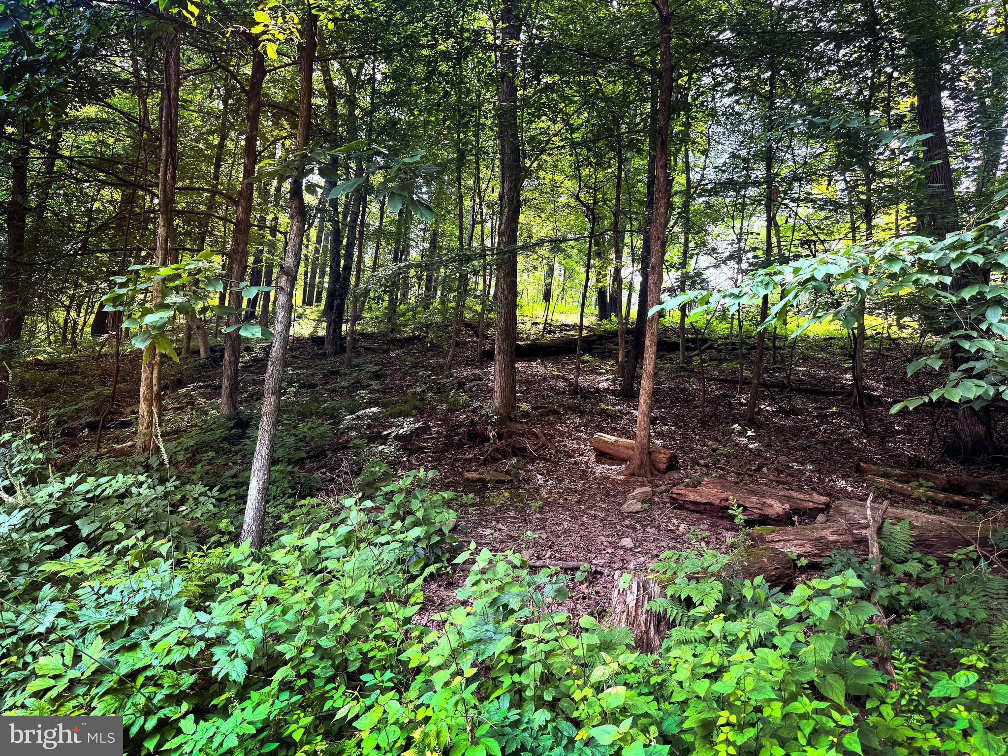 PANTOPS - Residential