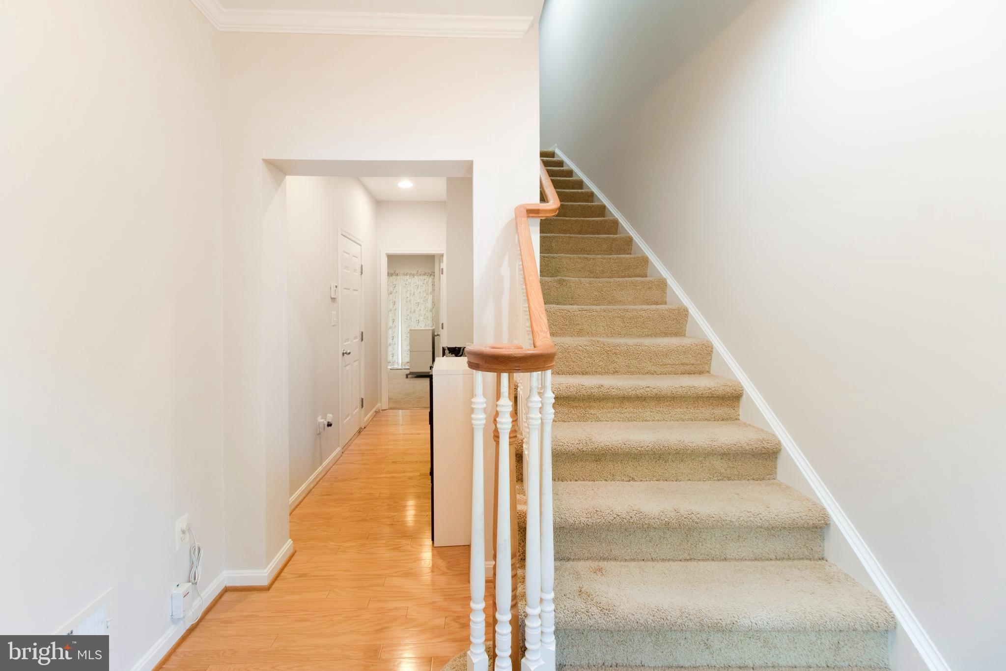 WHETSTONE RUN - Residential