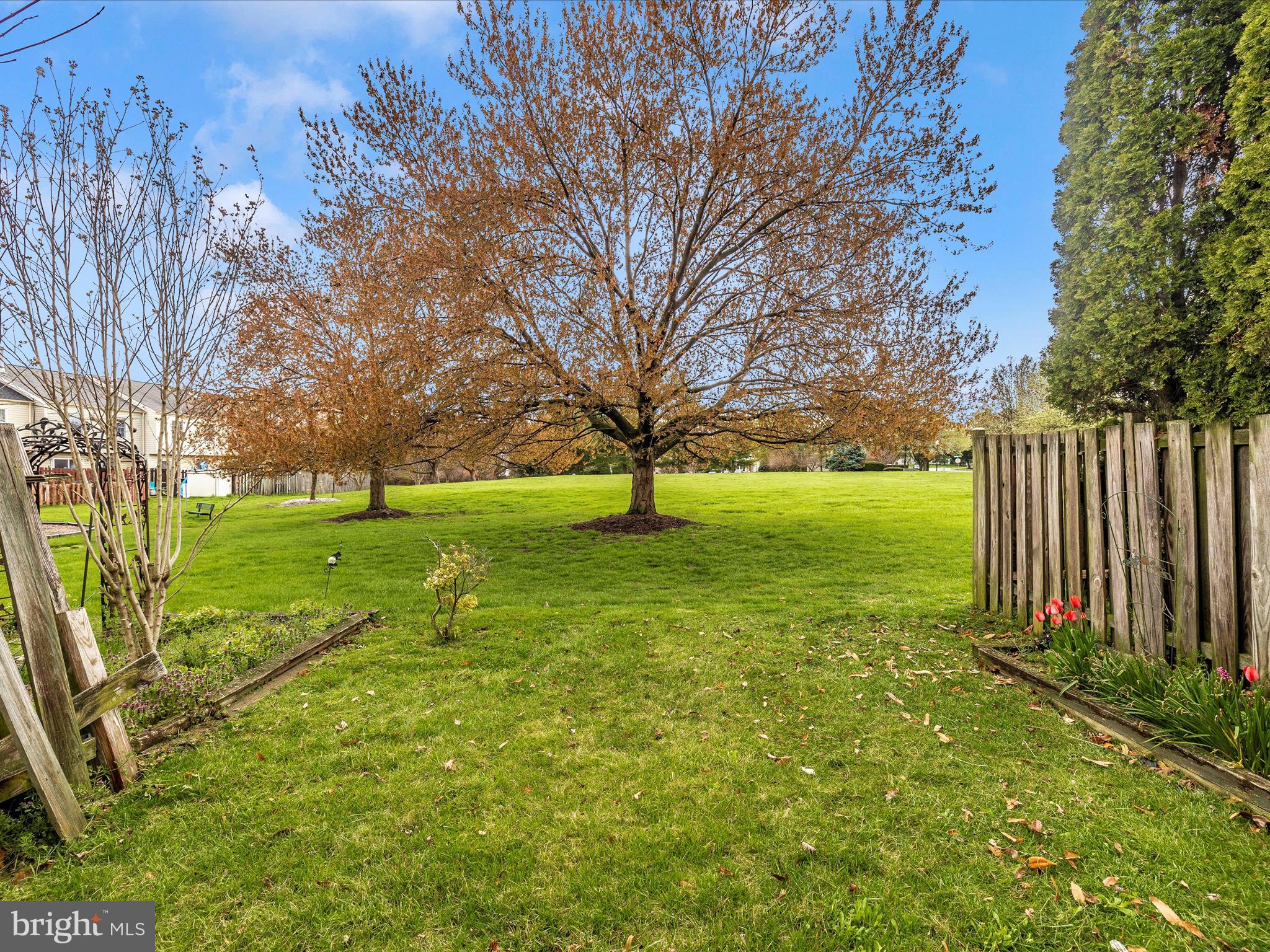 BALLENGER CREEK MEADOWS - Residential