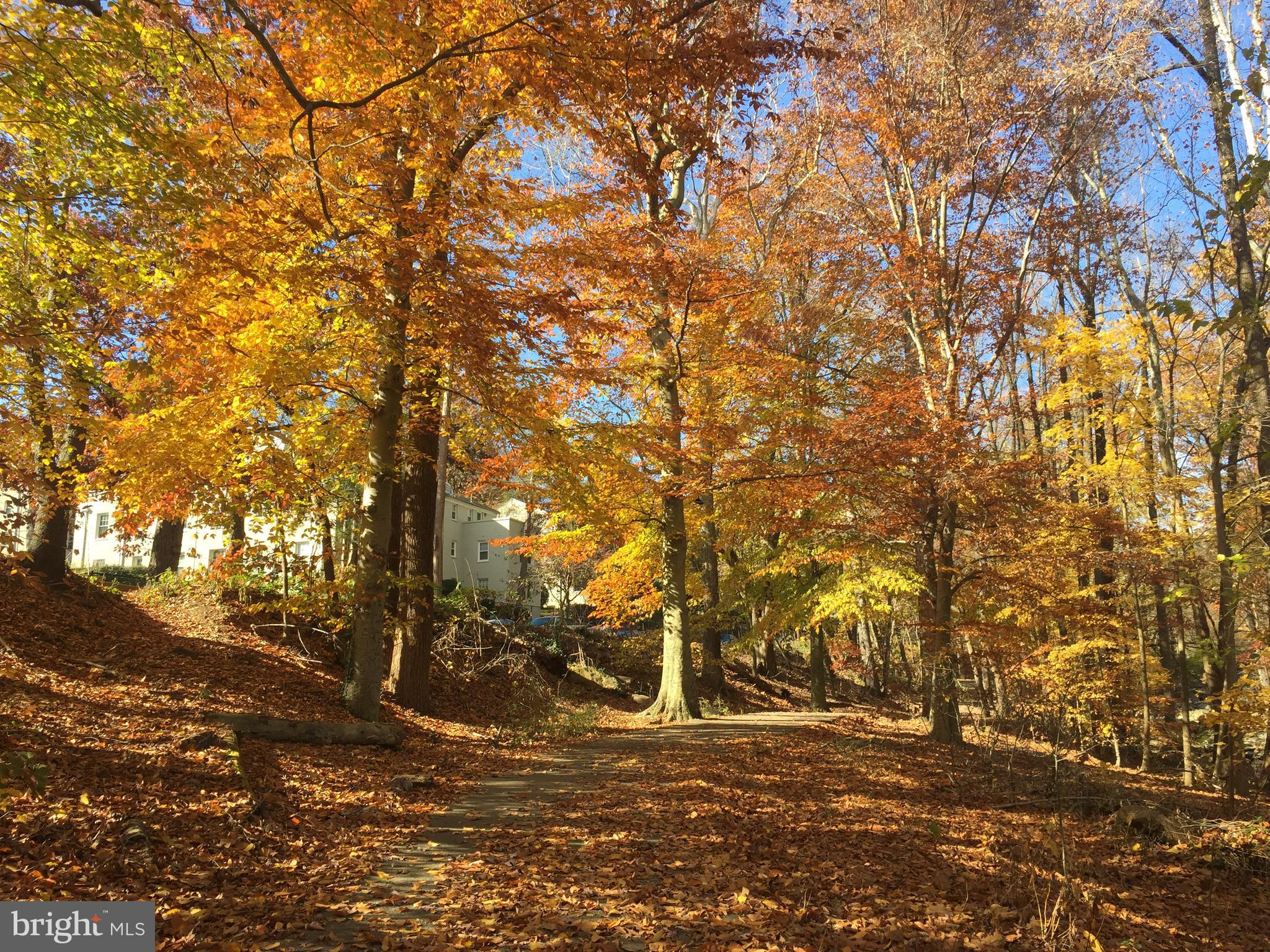 THE CARLTON - Residential