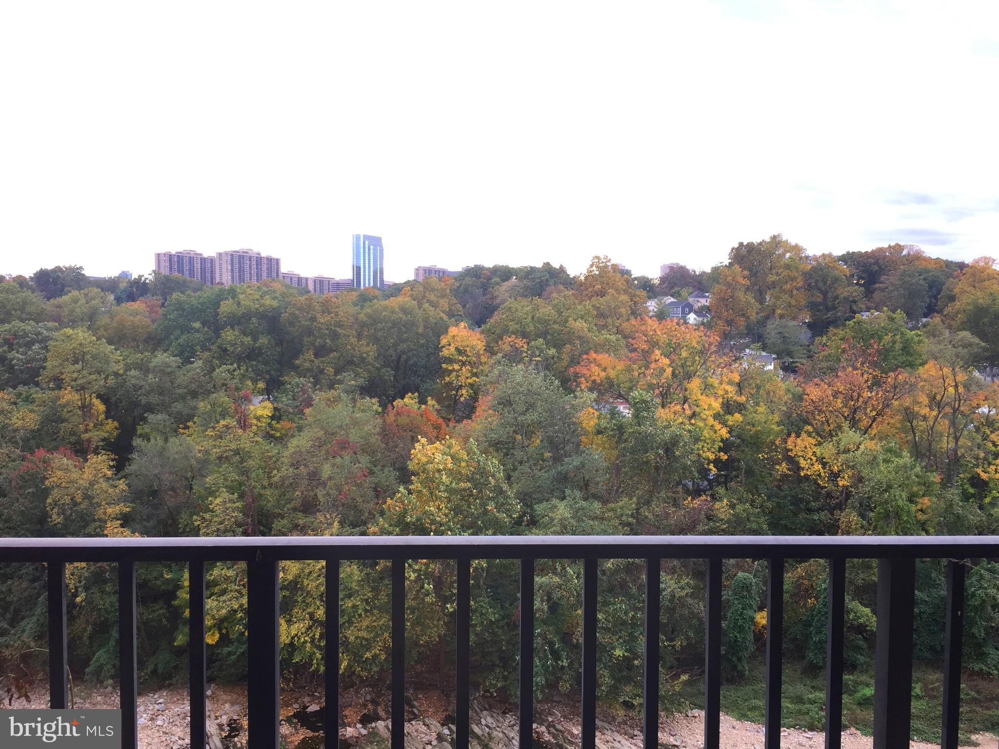 THE CARLTON - Residential