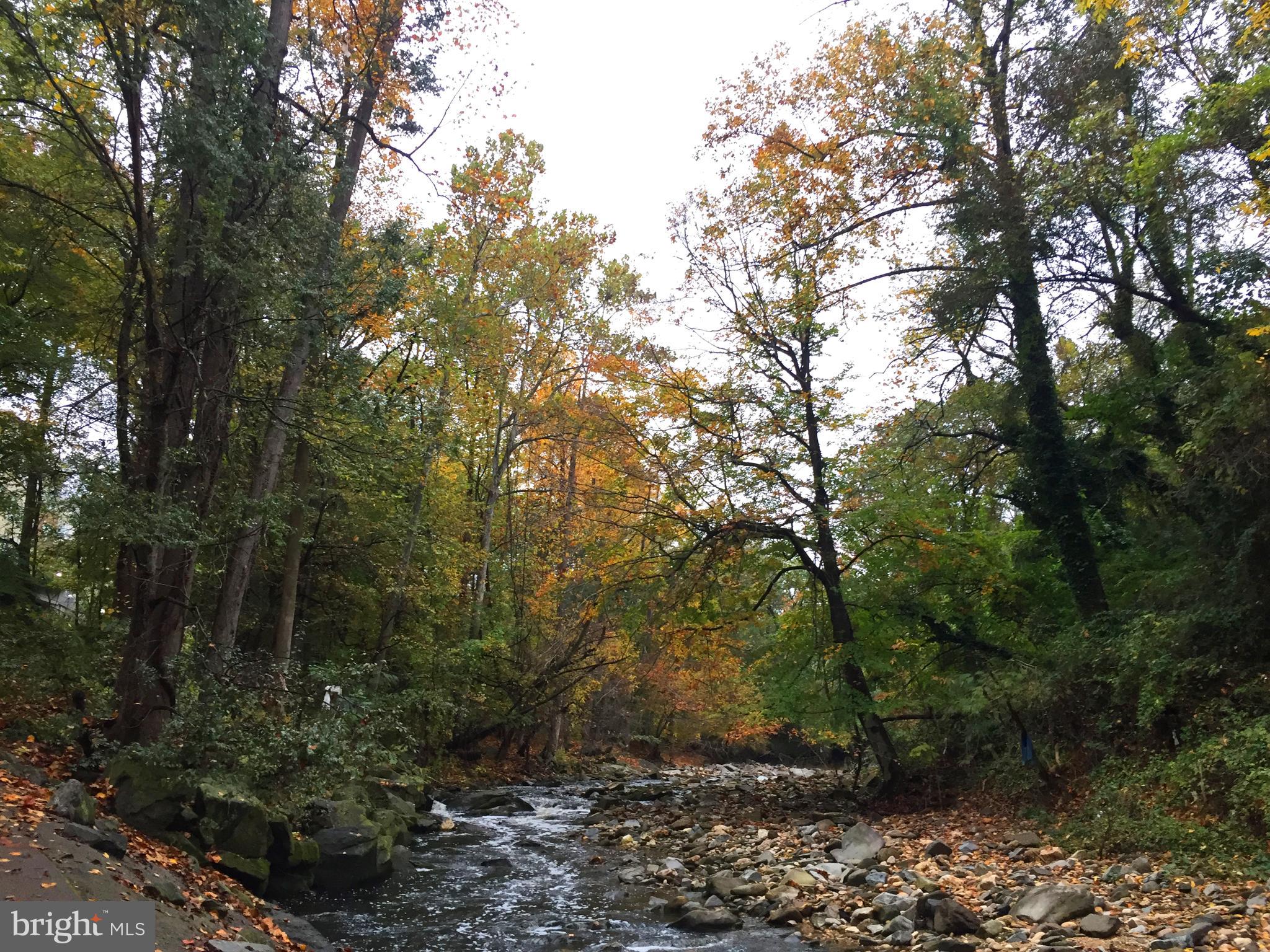 THE CARLTON - Residential