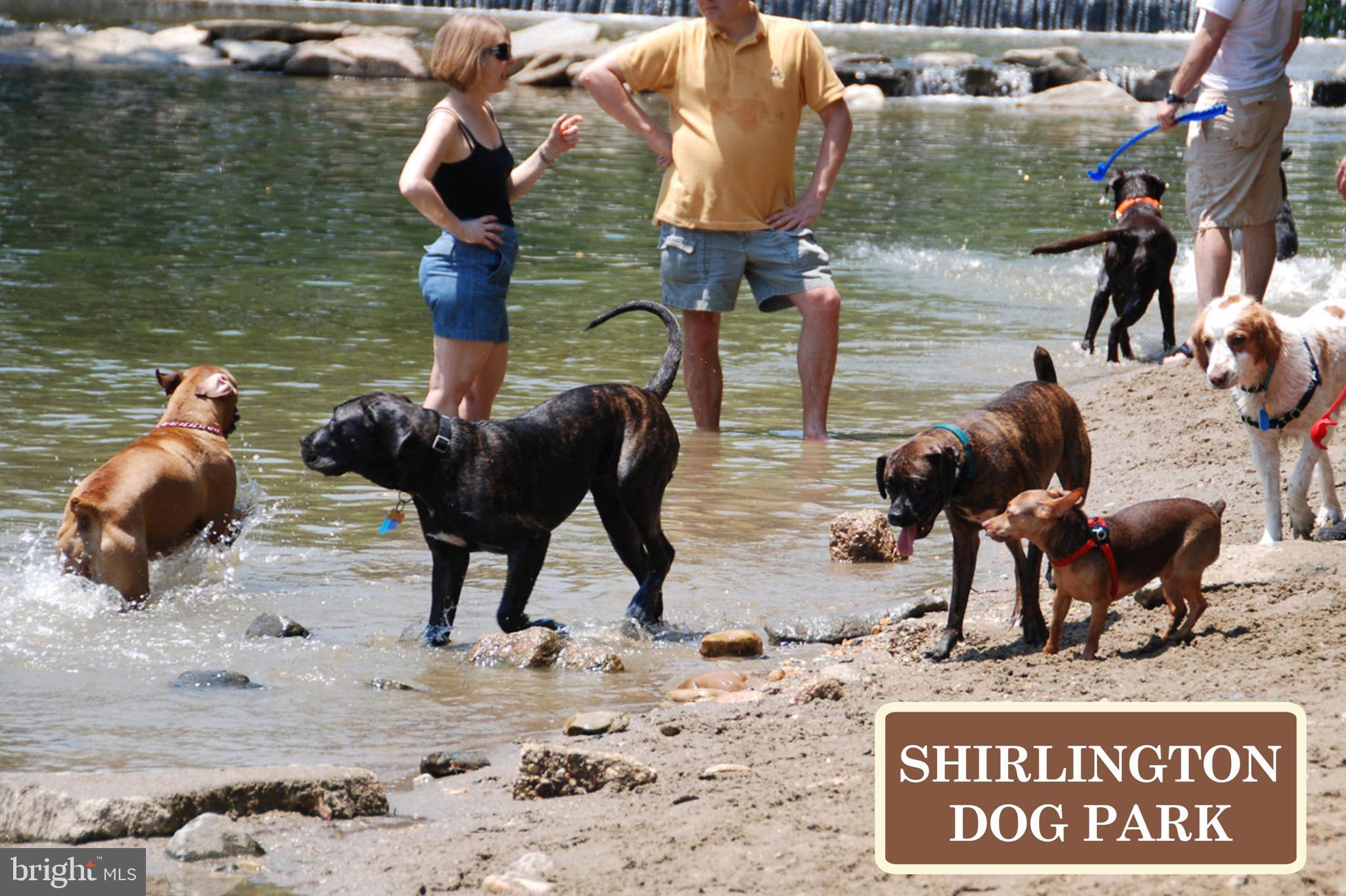 THE CARLTON - Residential