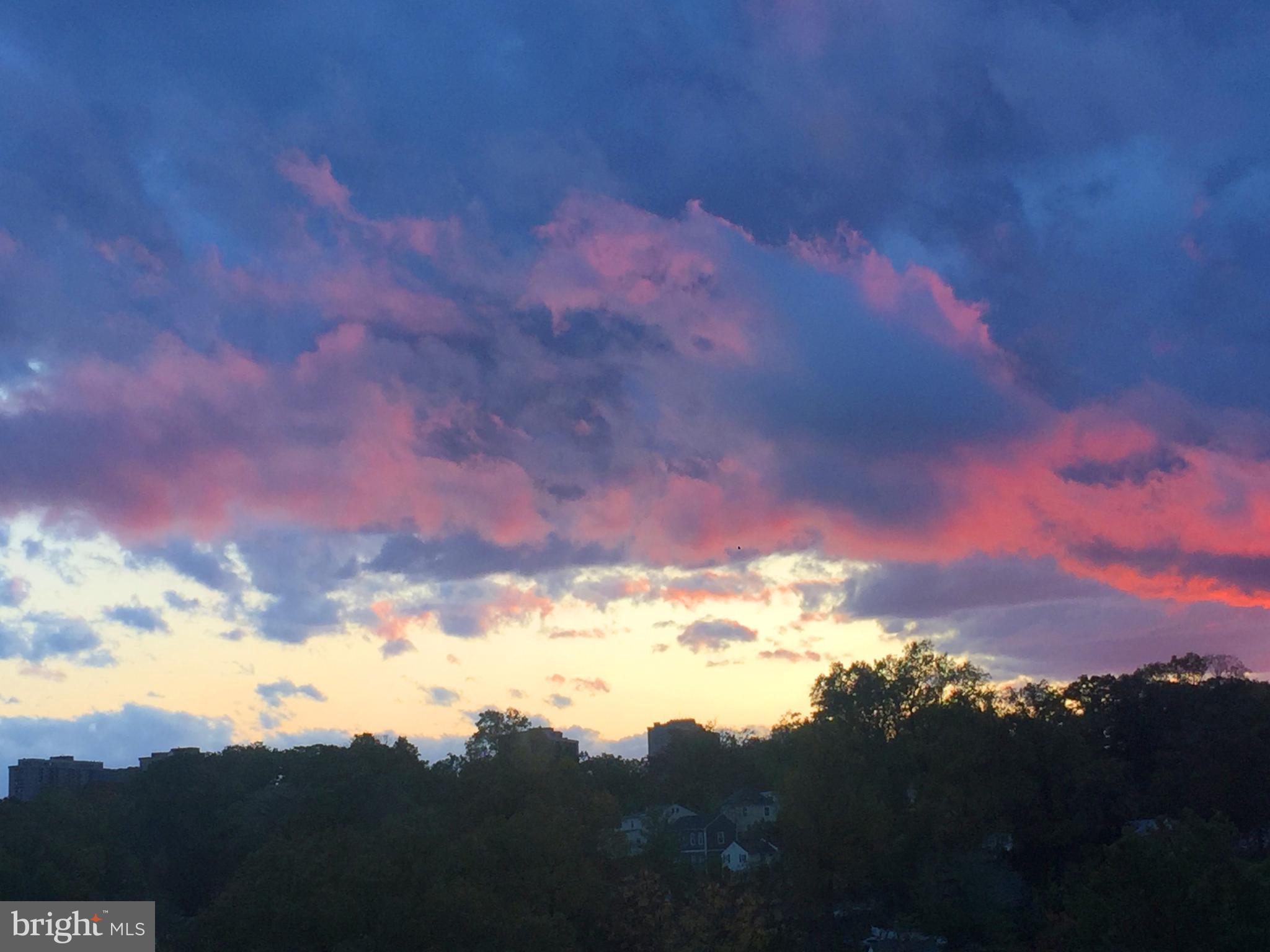 THE CARLTON - Residential