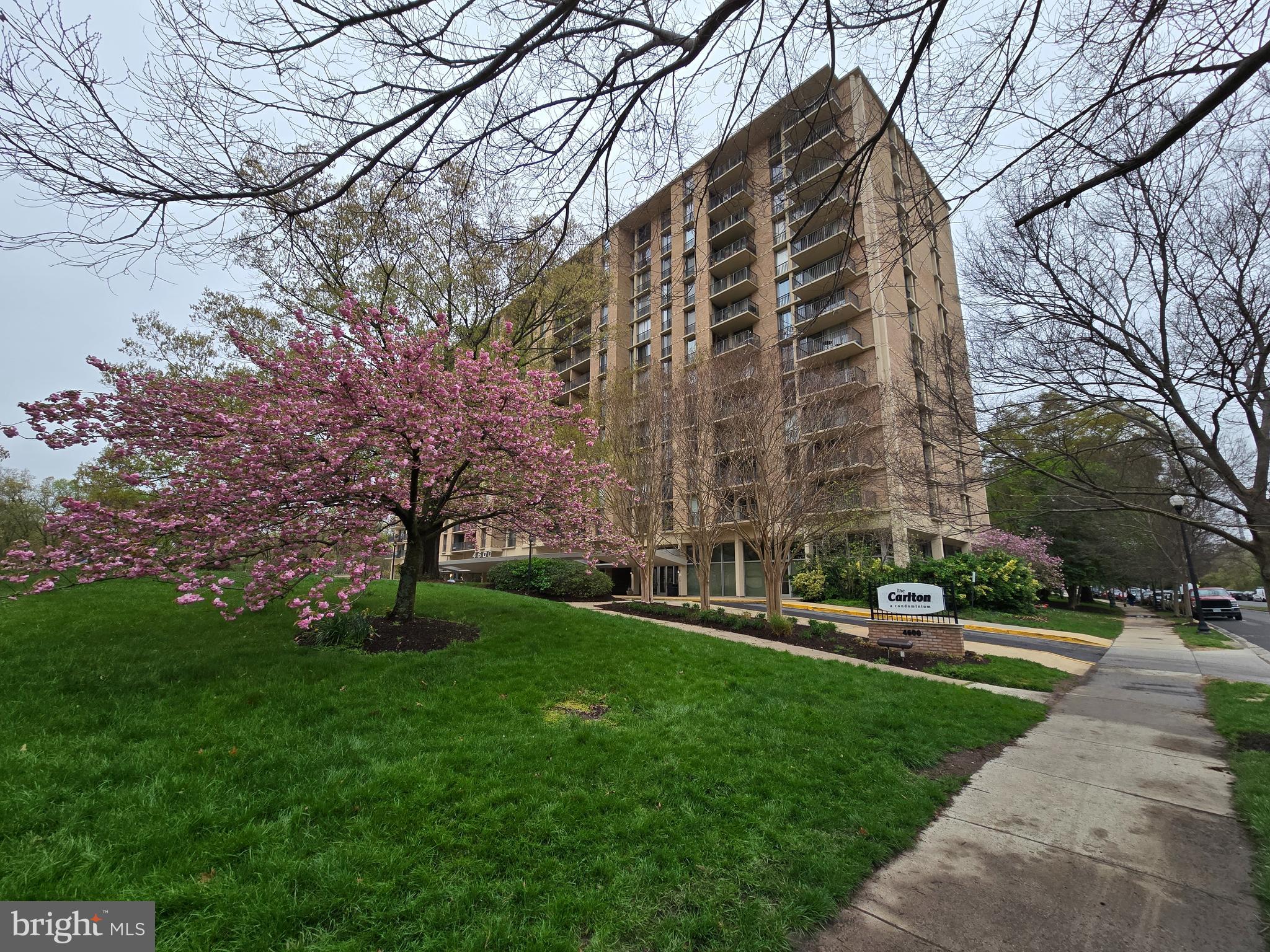 THE CARLTON - Residential