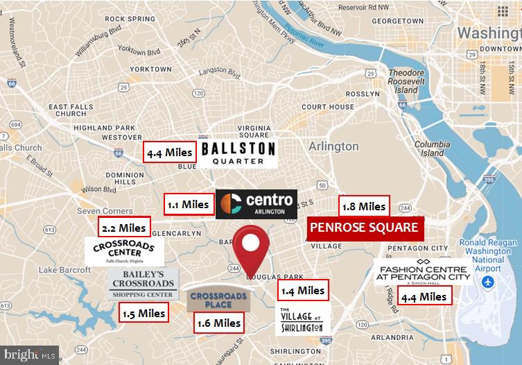 THE CARLTON - Residential