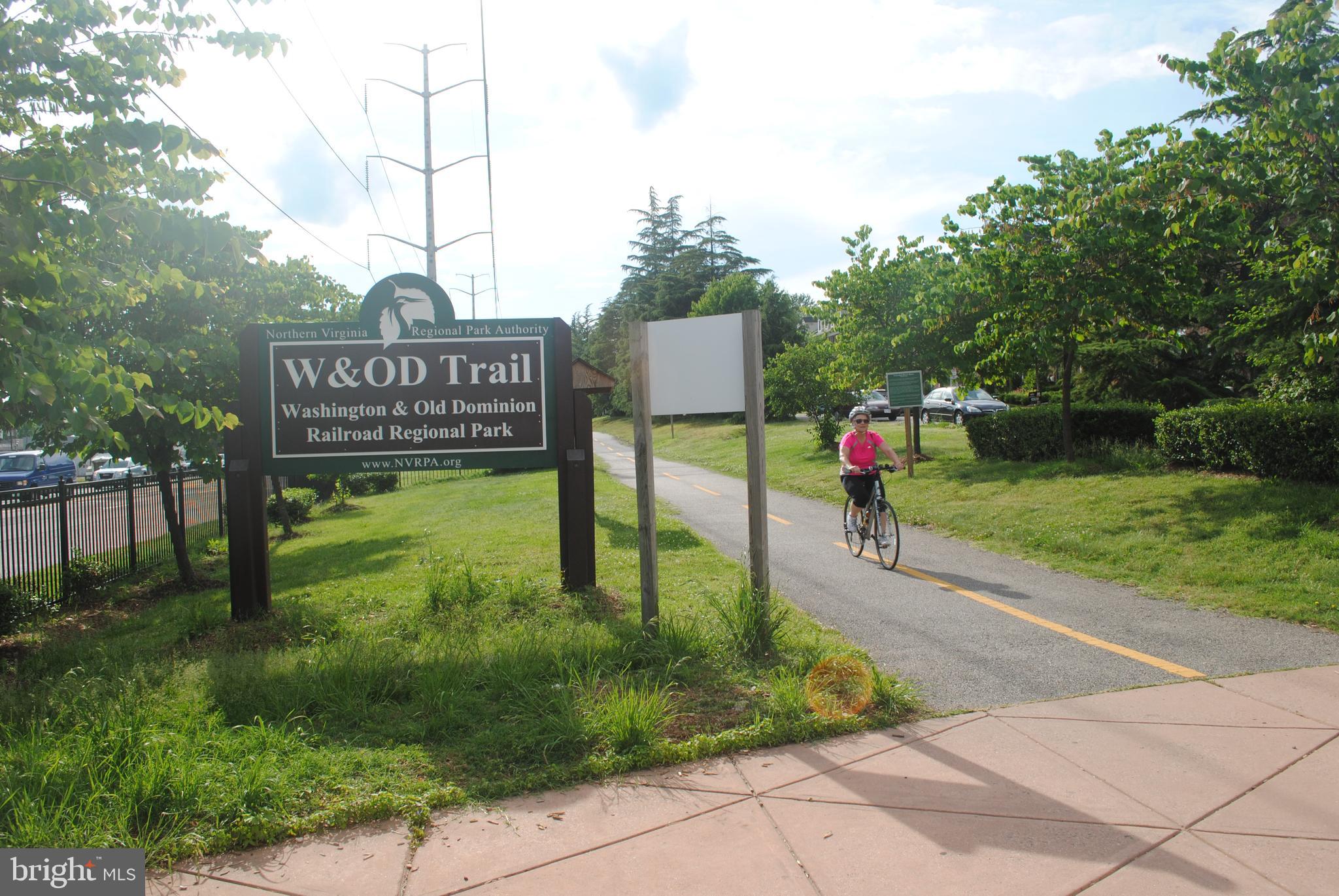 THE CARLTON - Residential