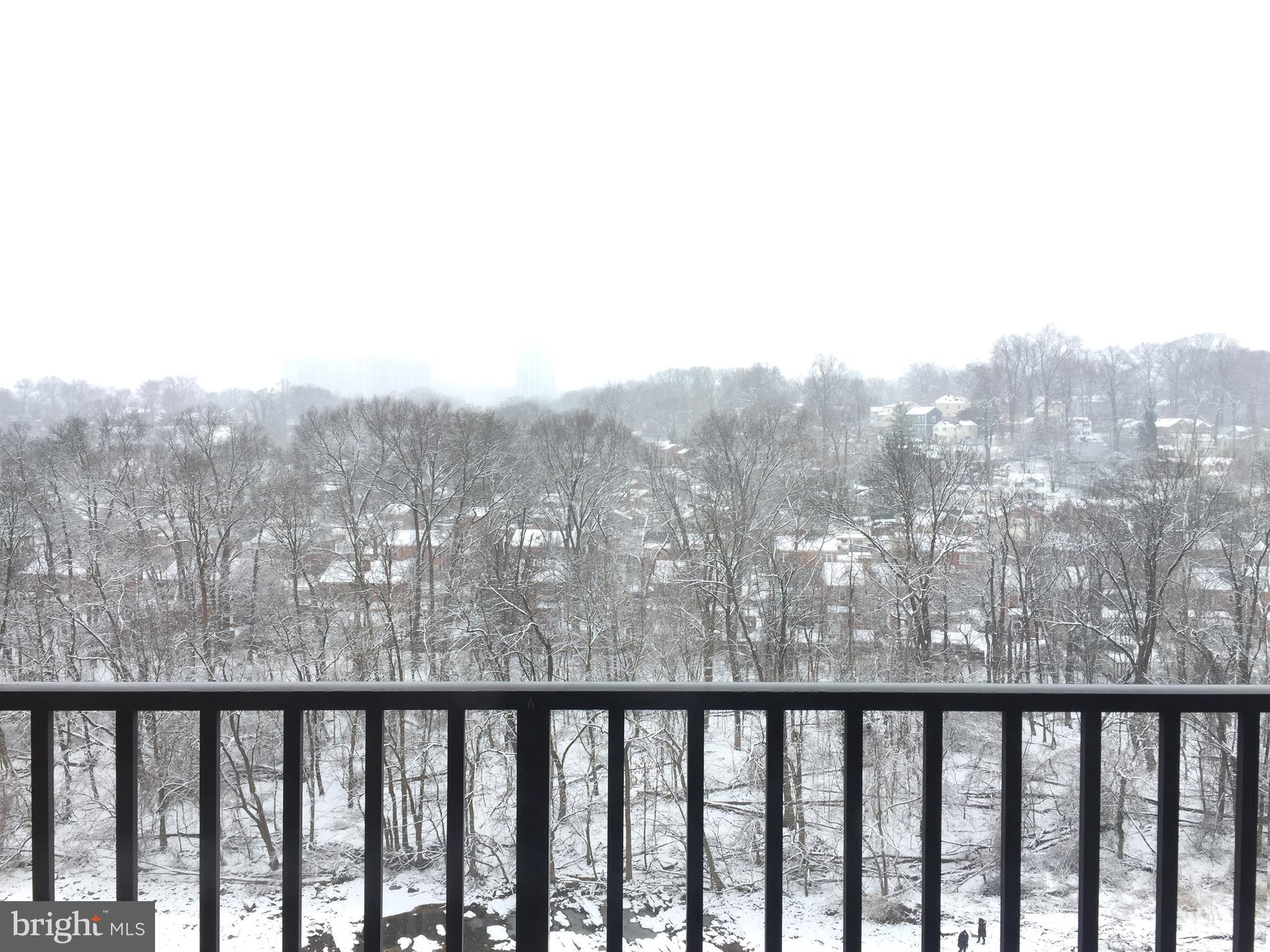 THE CARLTON - Residential