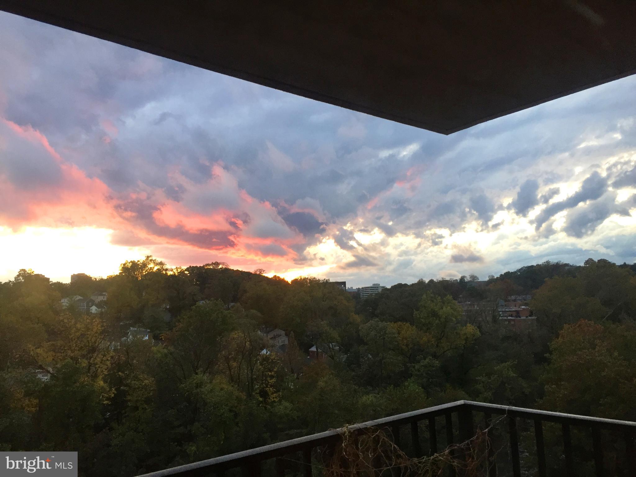 THE CARLTON - Residential