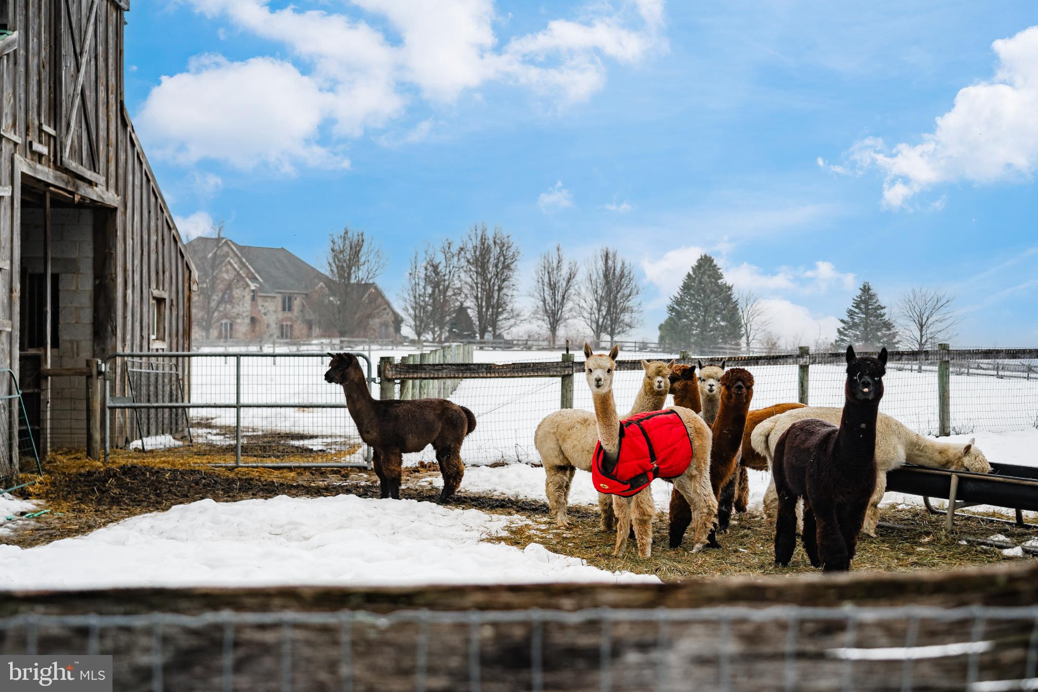 NOT IN DEVELOPEMENT - Residential