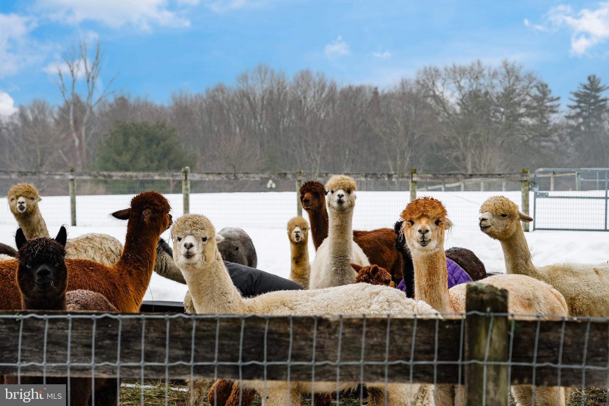 NOT IN DEVELOPEMENT - Residential