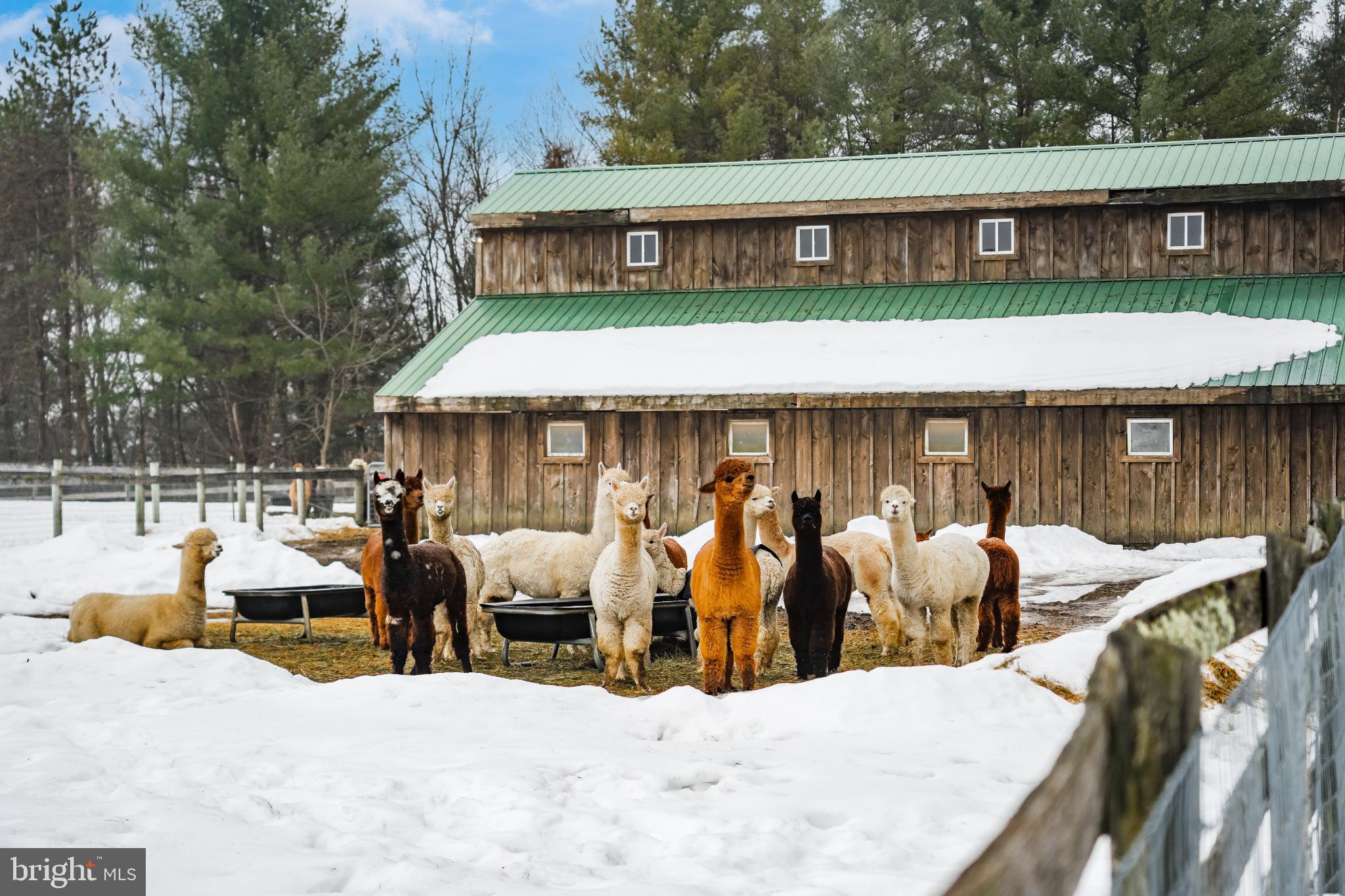 NOT IN DEVELOPEMENT - Residential