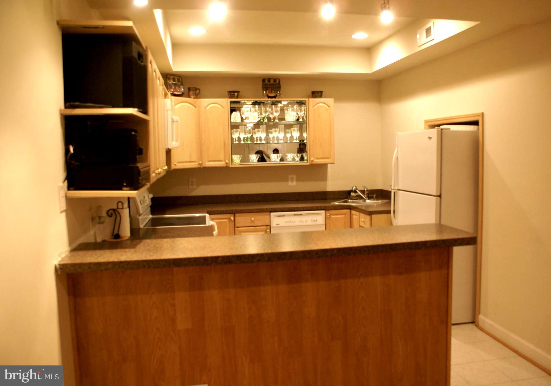 TYSONS EXECUTIVE VILLAGE - Residential Lease