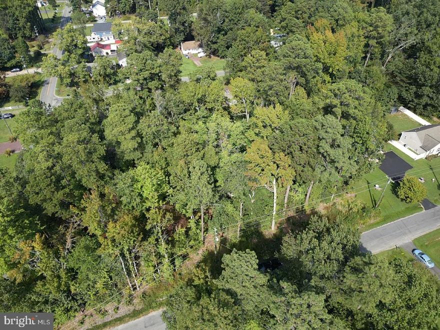 Level lot located in the heart of Colonial Beach, just minutes from the Potomac River, beaches, marinas, dining, and shopping. Perfect opportunity to build your full-time residence, vacation home, or investment property. Lot is next to 386 Monroe.
