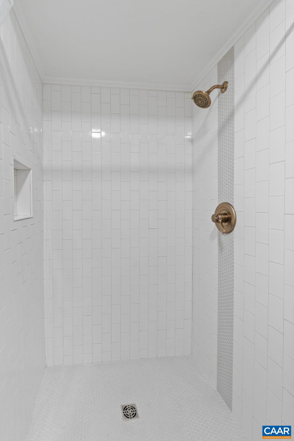 LAKE MONTICELLO - Residential