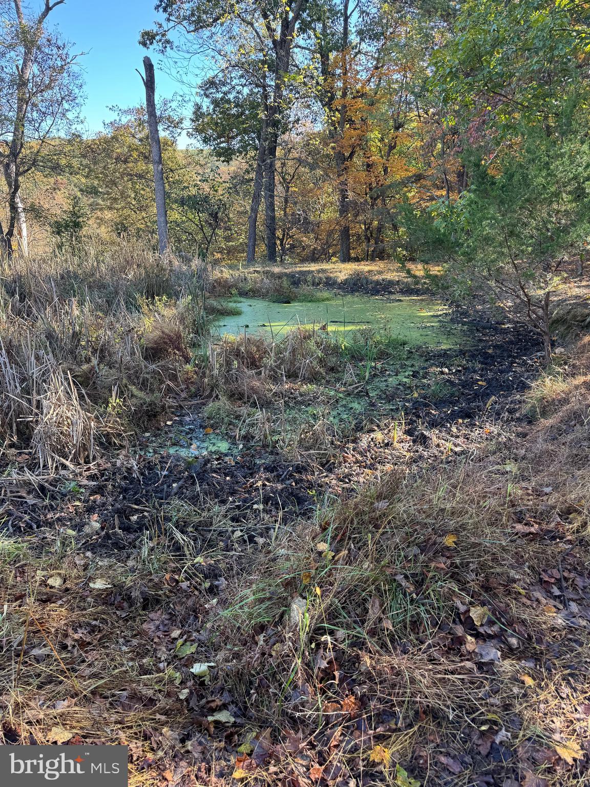 SOUTH MILL CREEK - Land