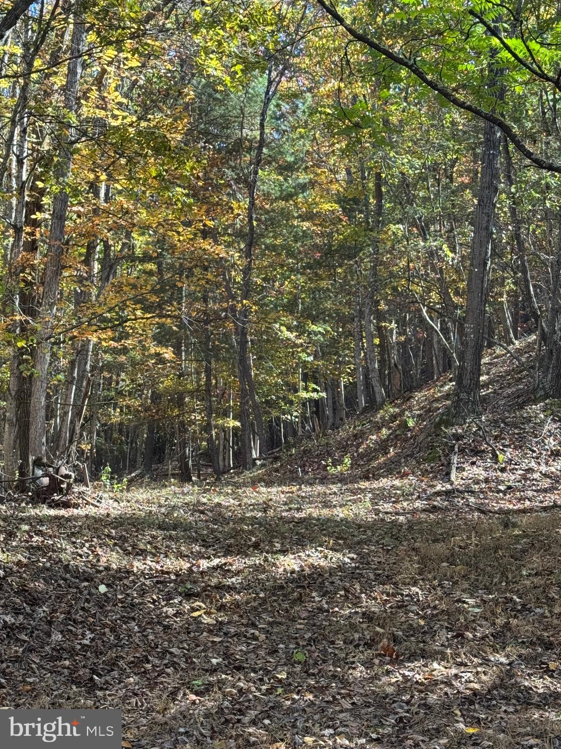 SOUTH MILL CREEK - Land