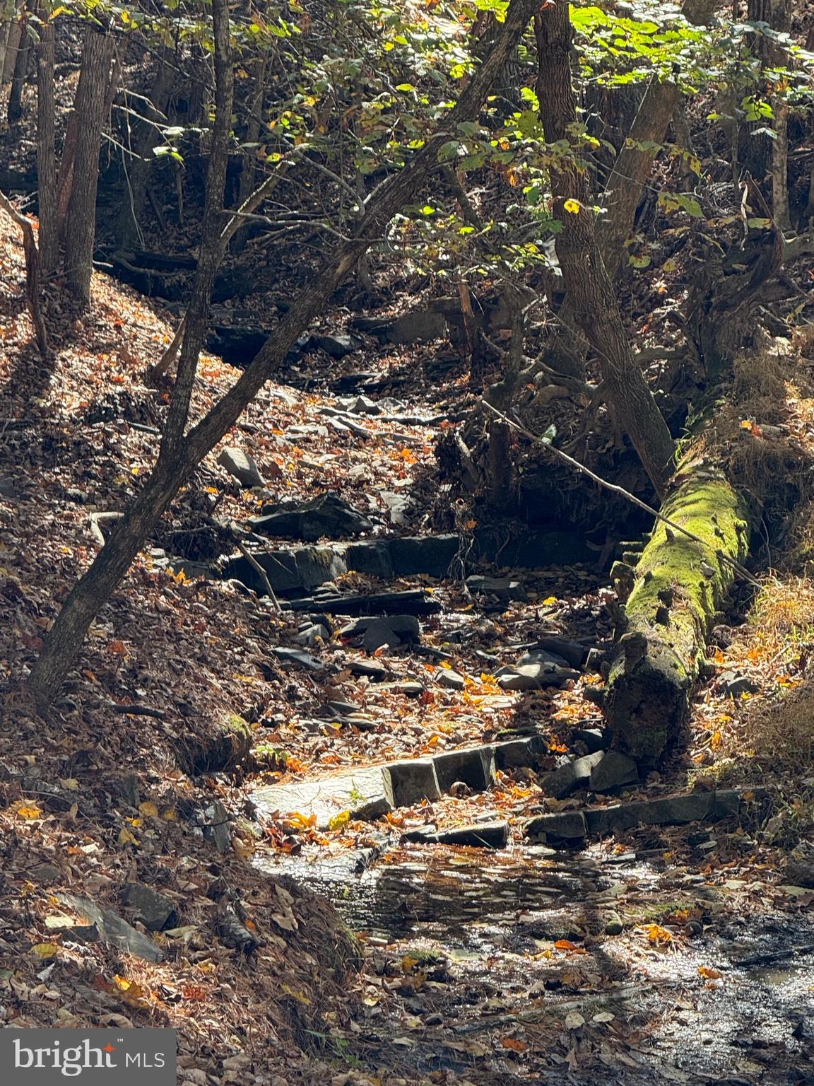 SOUTH MILL CREEK - Land