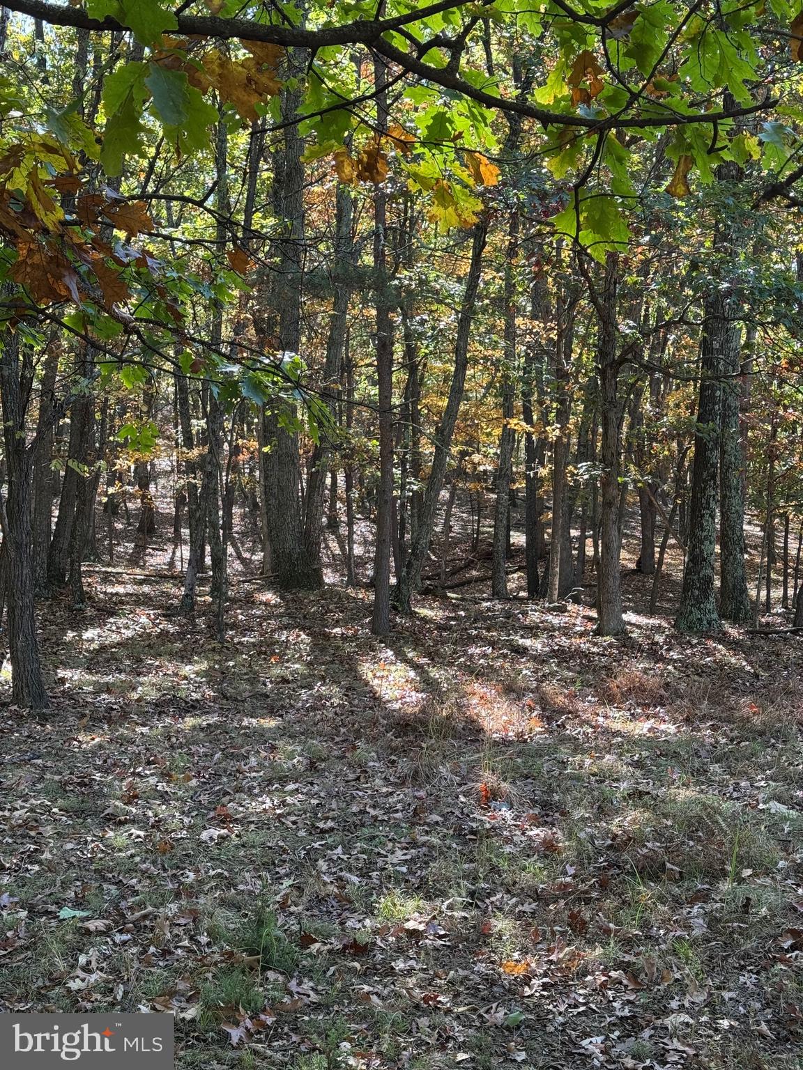 SOUTH MILL CREEK - Land