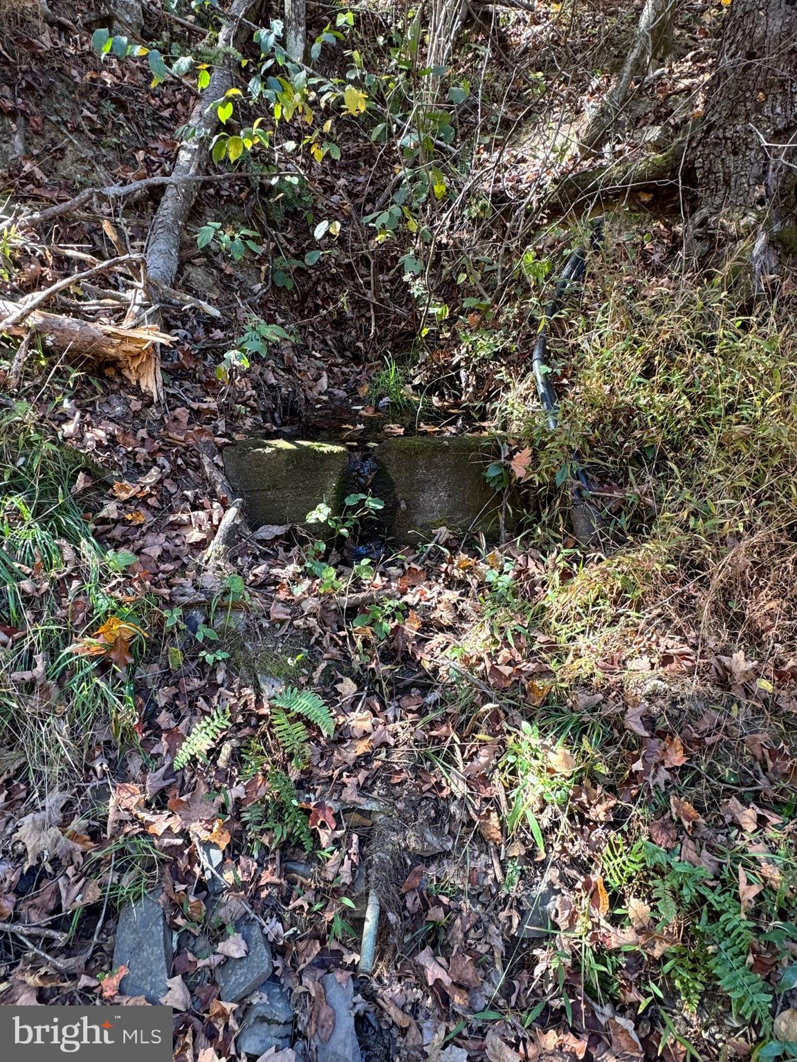 SOUTH MILL CREEK - Land