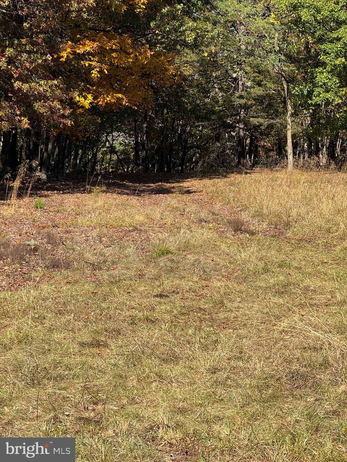 SOUTH MILL CREEK - Land