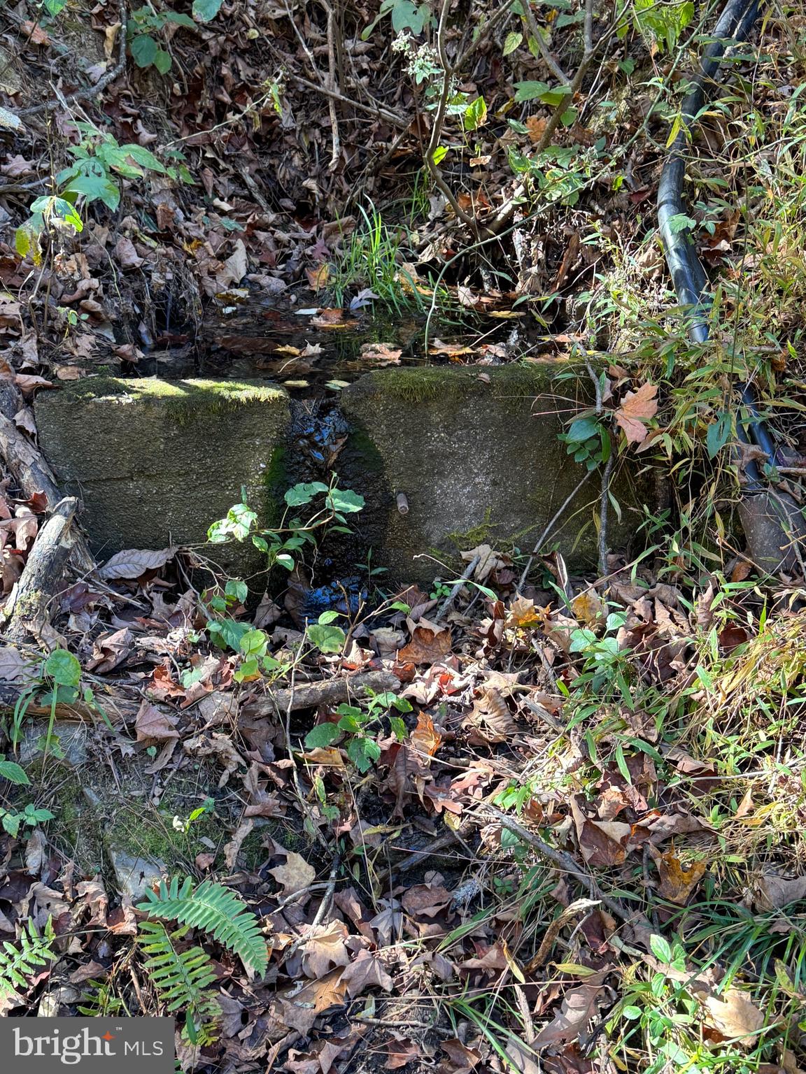 SOUTH MILL CREEK - Land