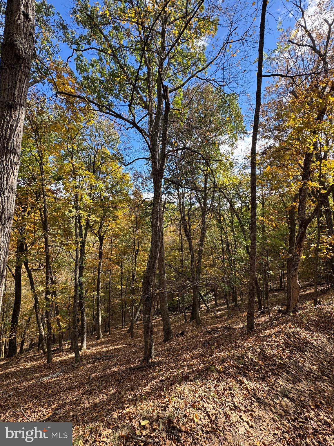 SOUTH MILL CREEK - Land