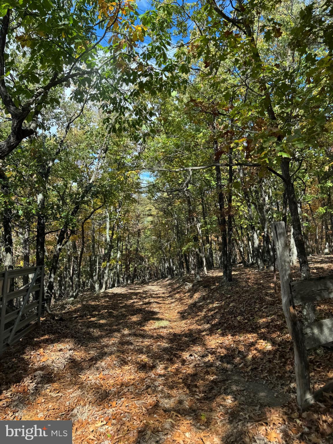 SOUTH MILL CREEK - Land