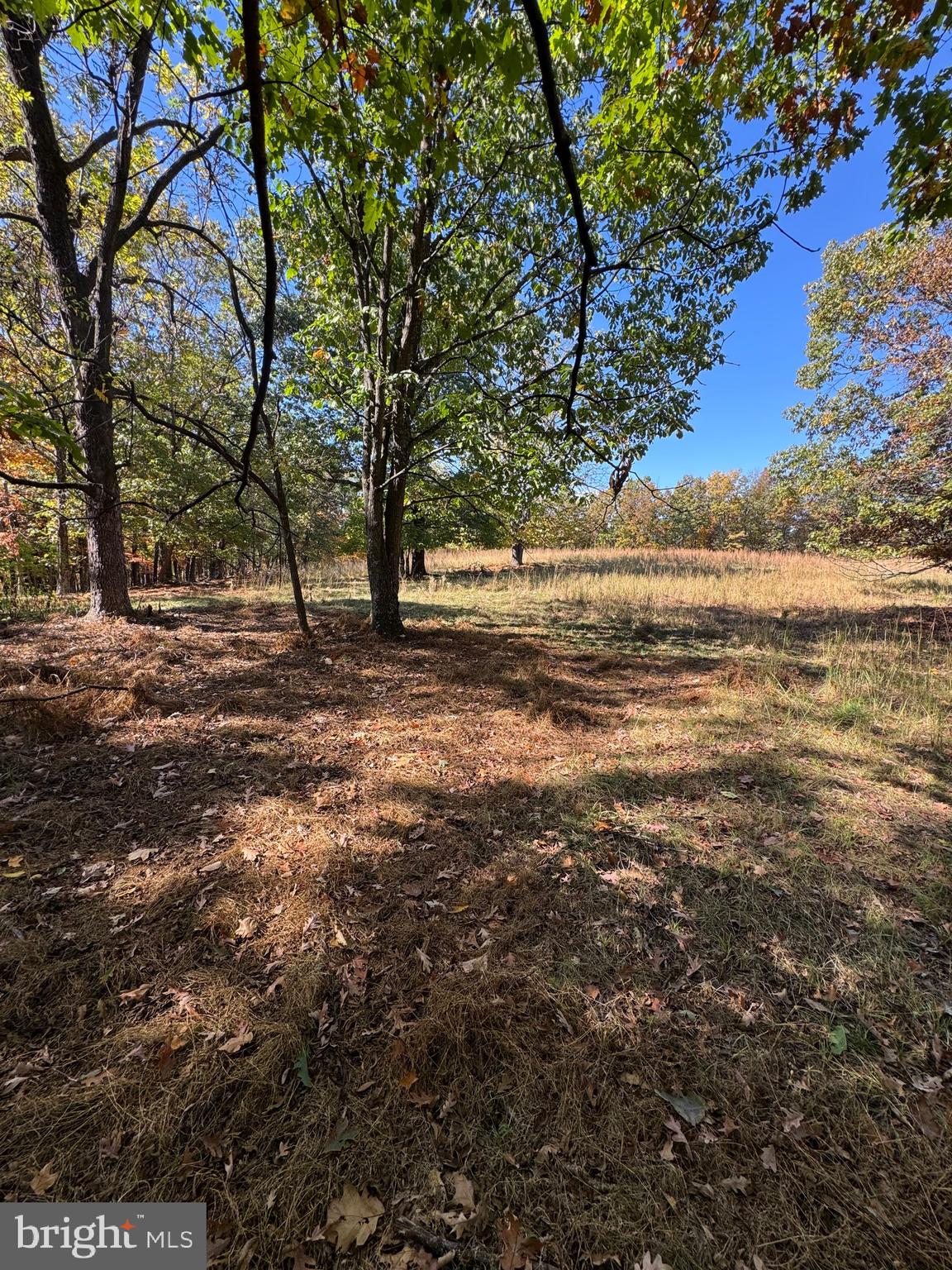 SOUTH MILL CREEK - Land