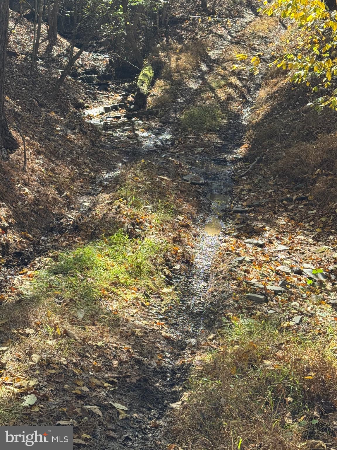 SOUTH MILL CREEK - Land