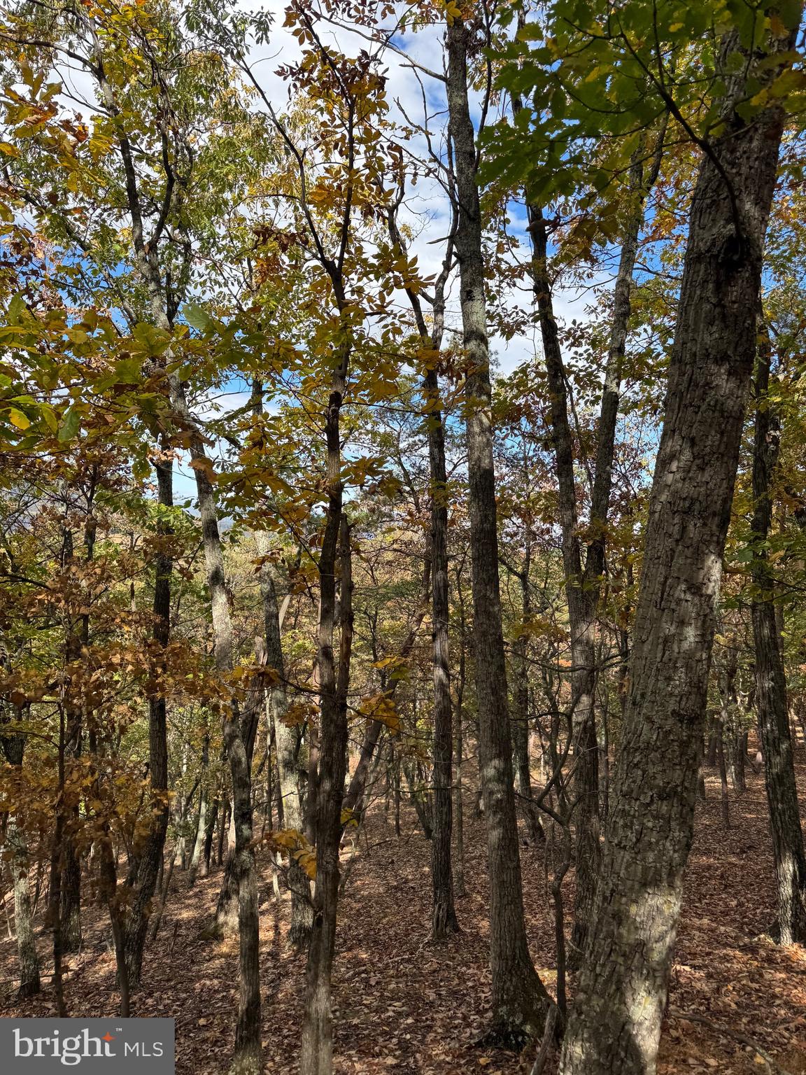 SOUTH MILL CREEK - Land