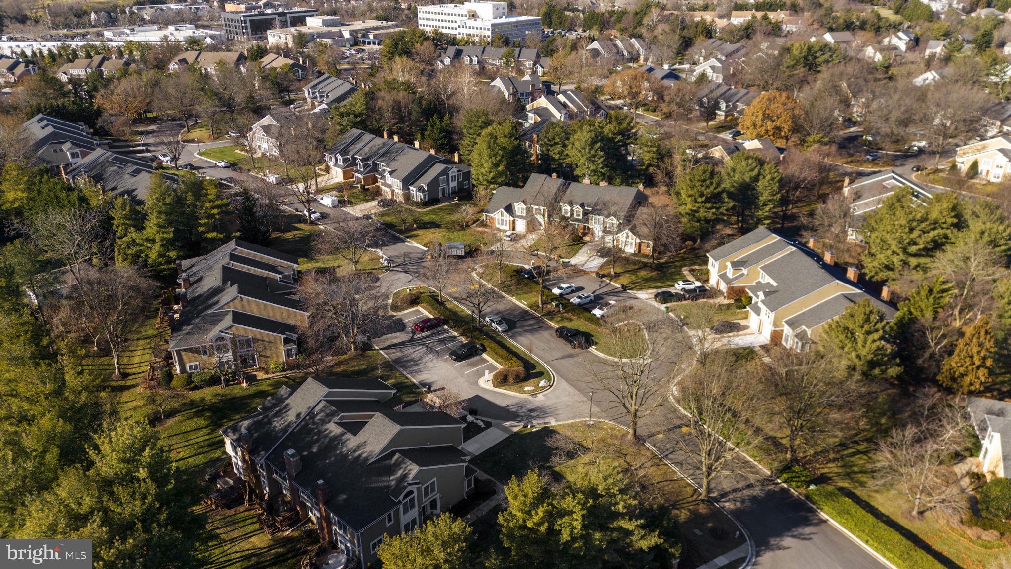 GREENE TREE - Residential