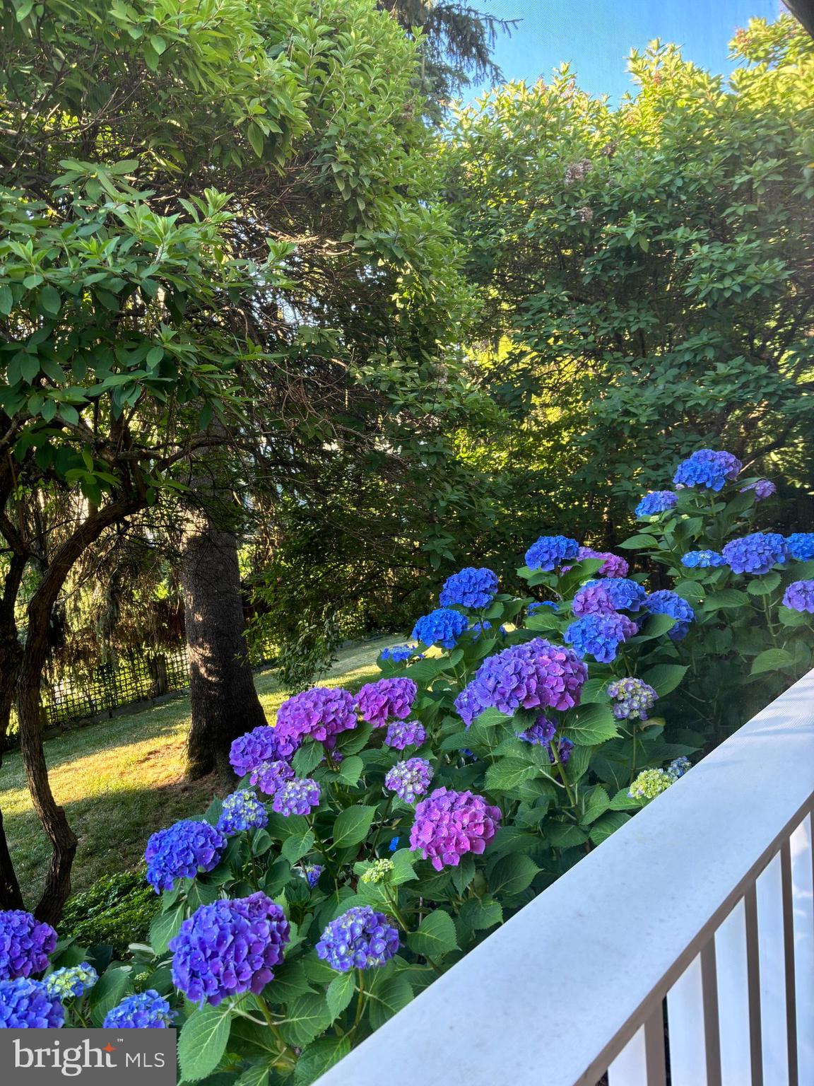 WYNDMOOR - Residential