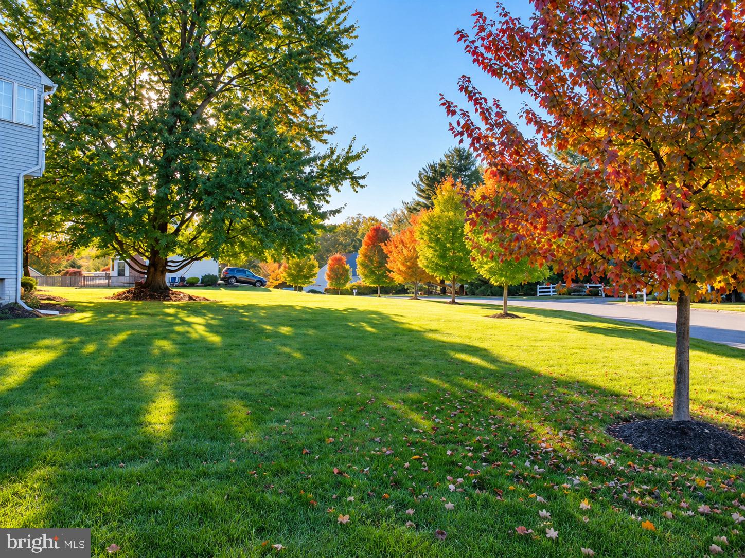 3711 BIRCHMERE COURT