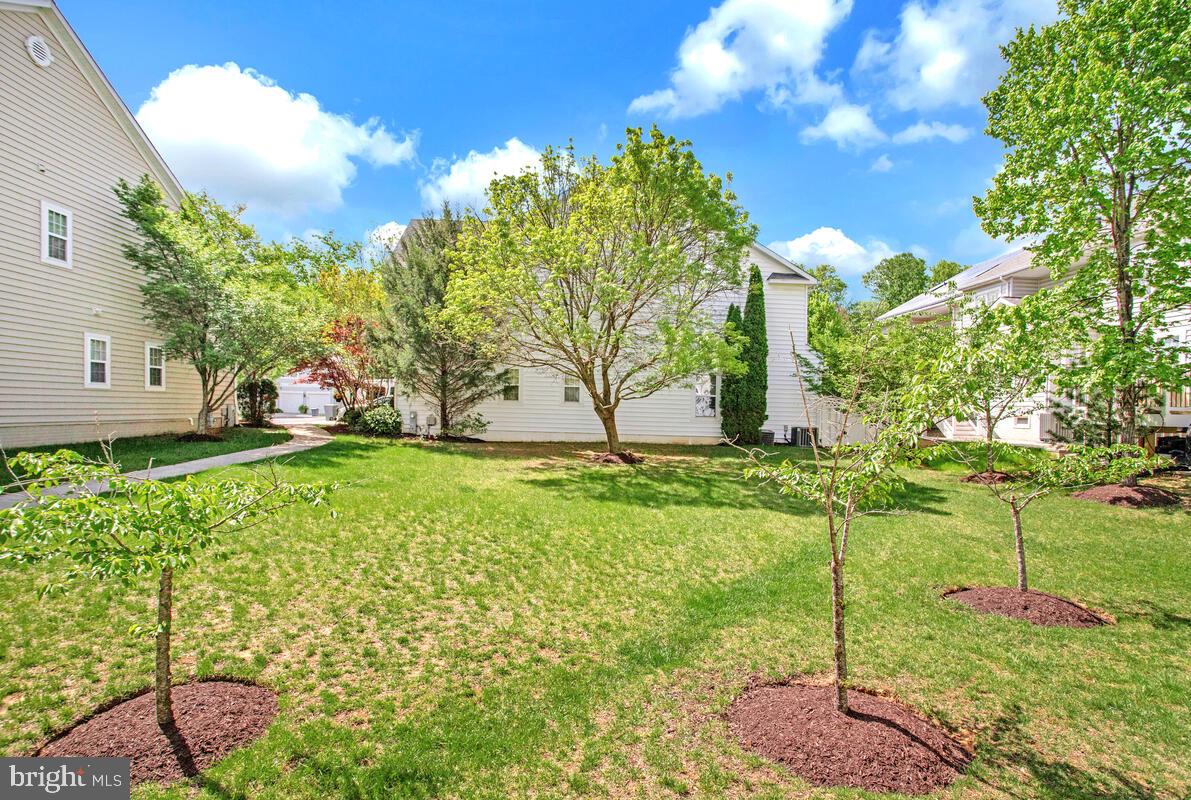 SNOWDEN OVERLOOK - Residential