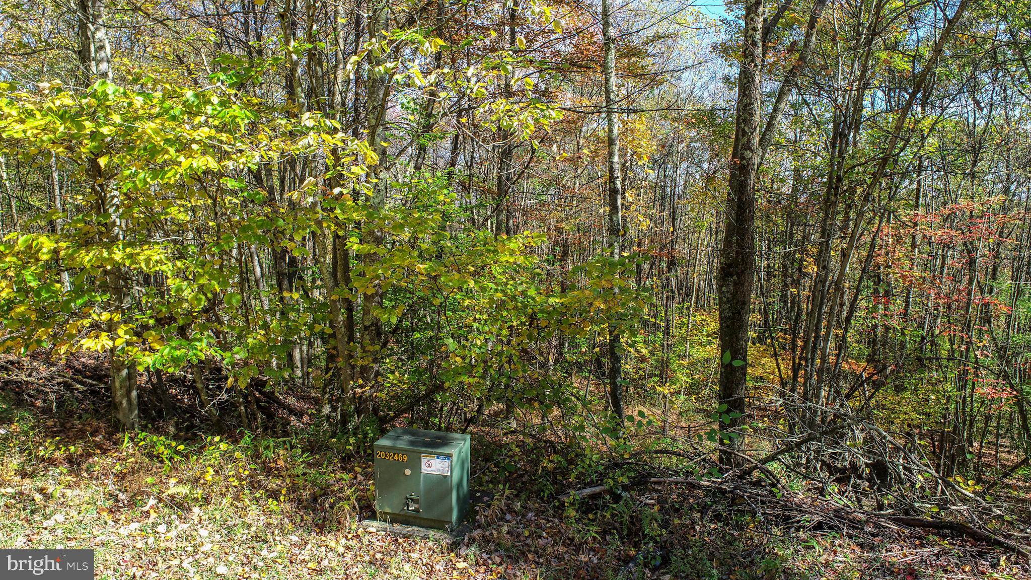 BACKBONE RIDGE - Land