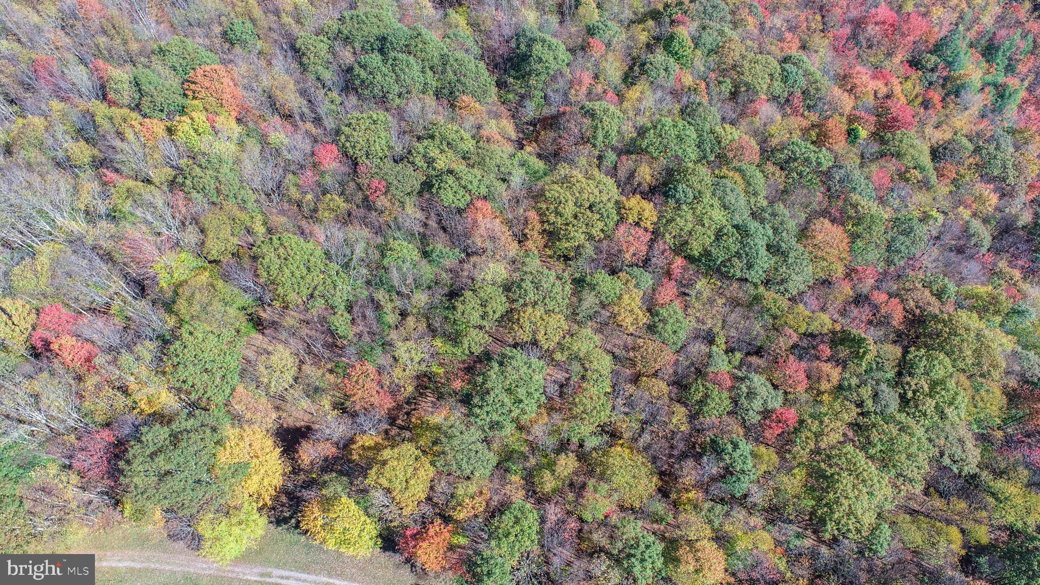 BACKBONE RIDGE - Land