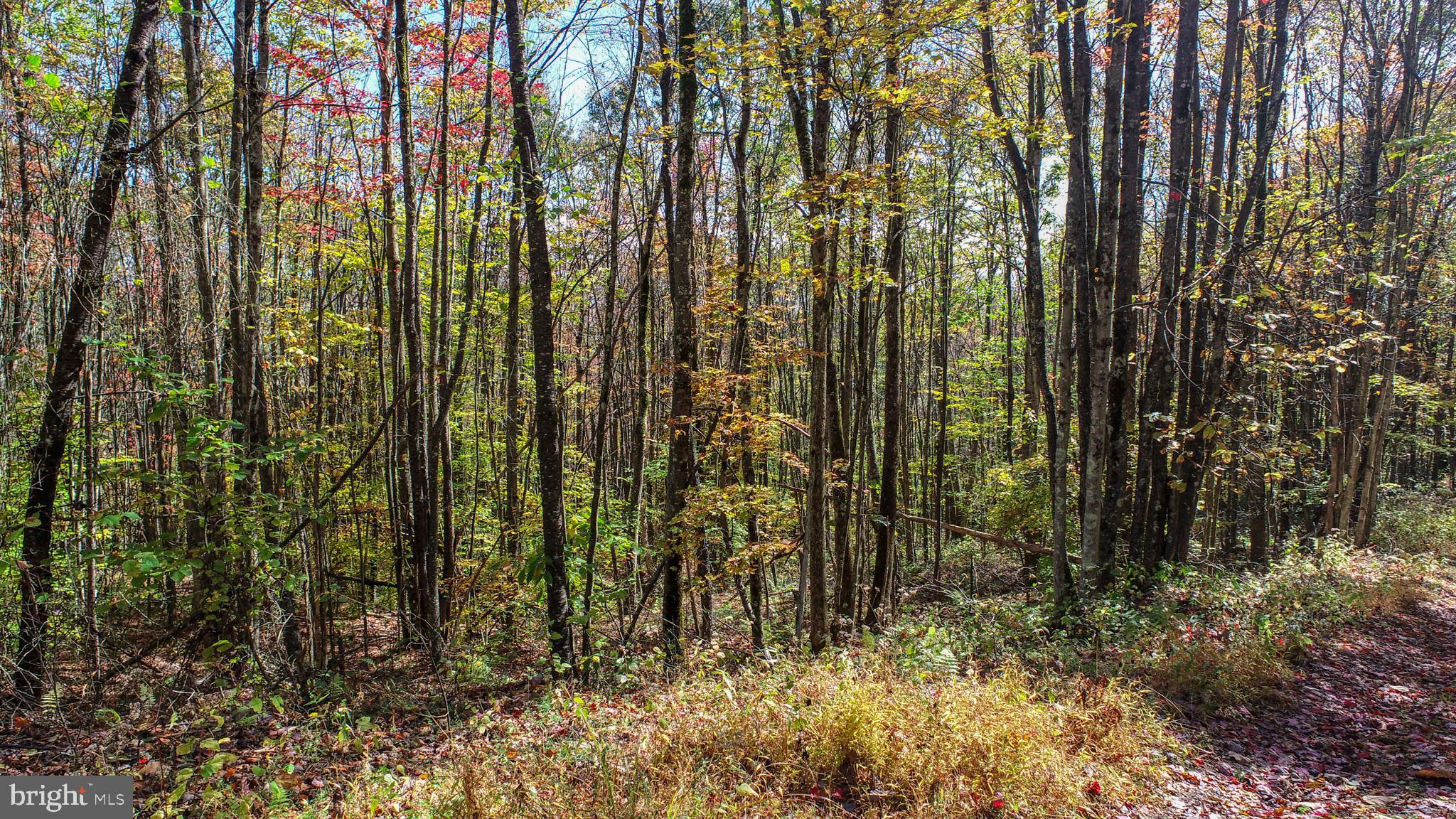 BACKBONE RIDGE - Land