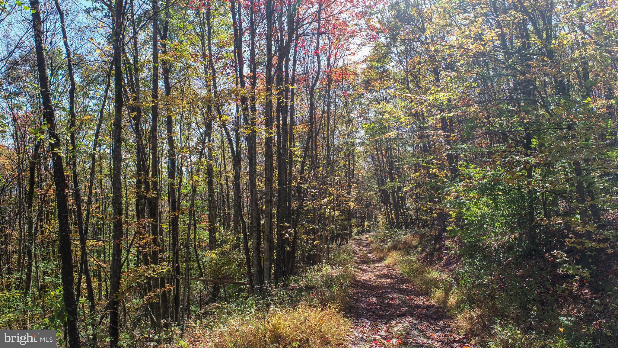 BACKBONE RIDGE - Land