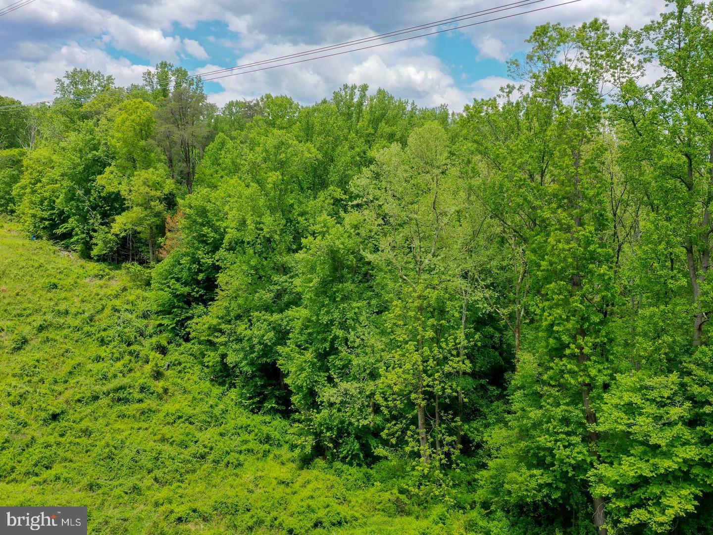 18900 MINK HOLLOW ROAD