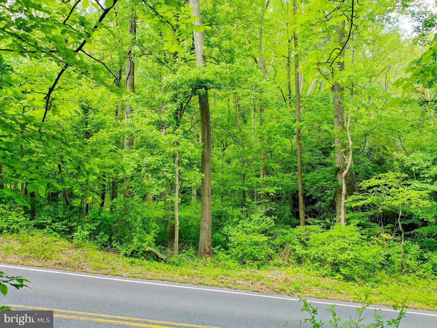18900 MINK HOLLOW ROAD