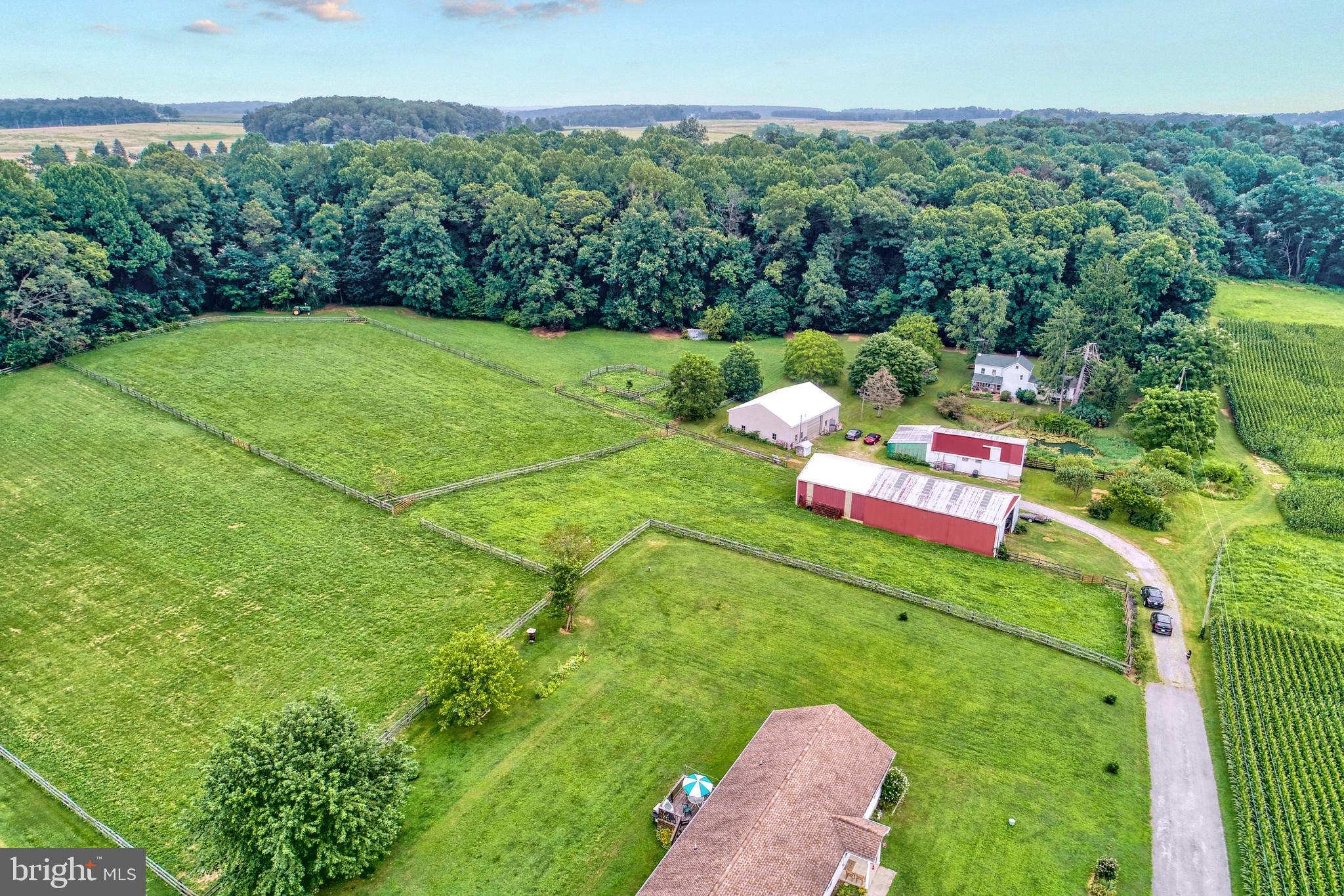 NONE AVAILABLE - Farm