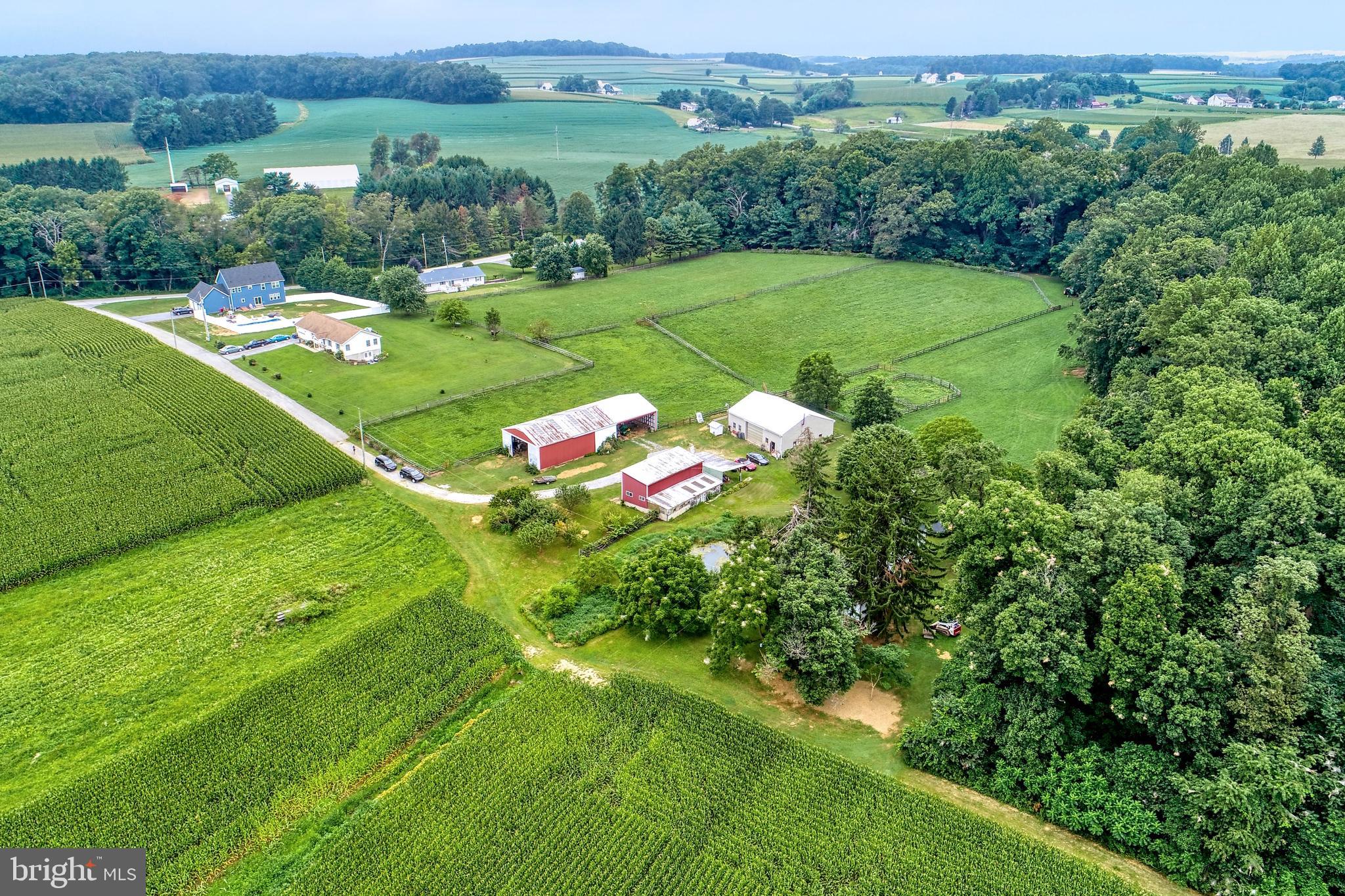 NONE AVAILABLE - Farm