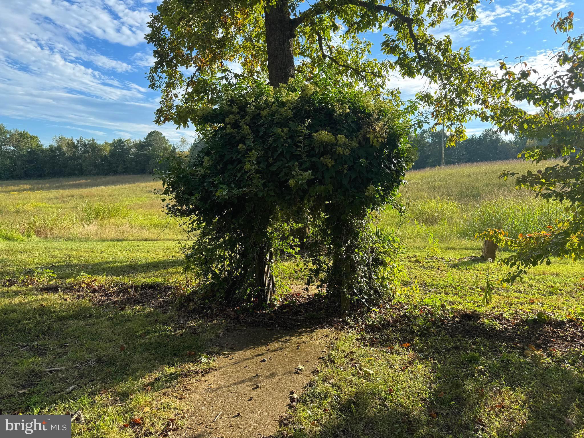 NONE AVAILABLE - Land