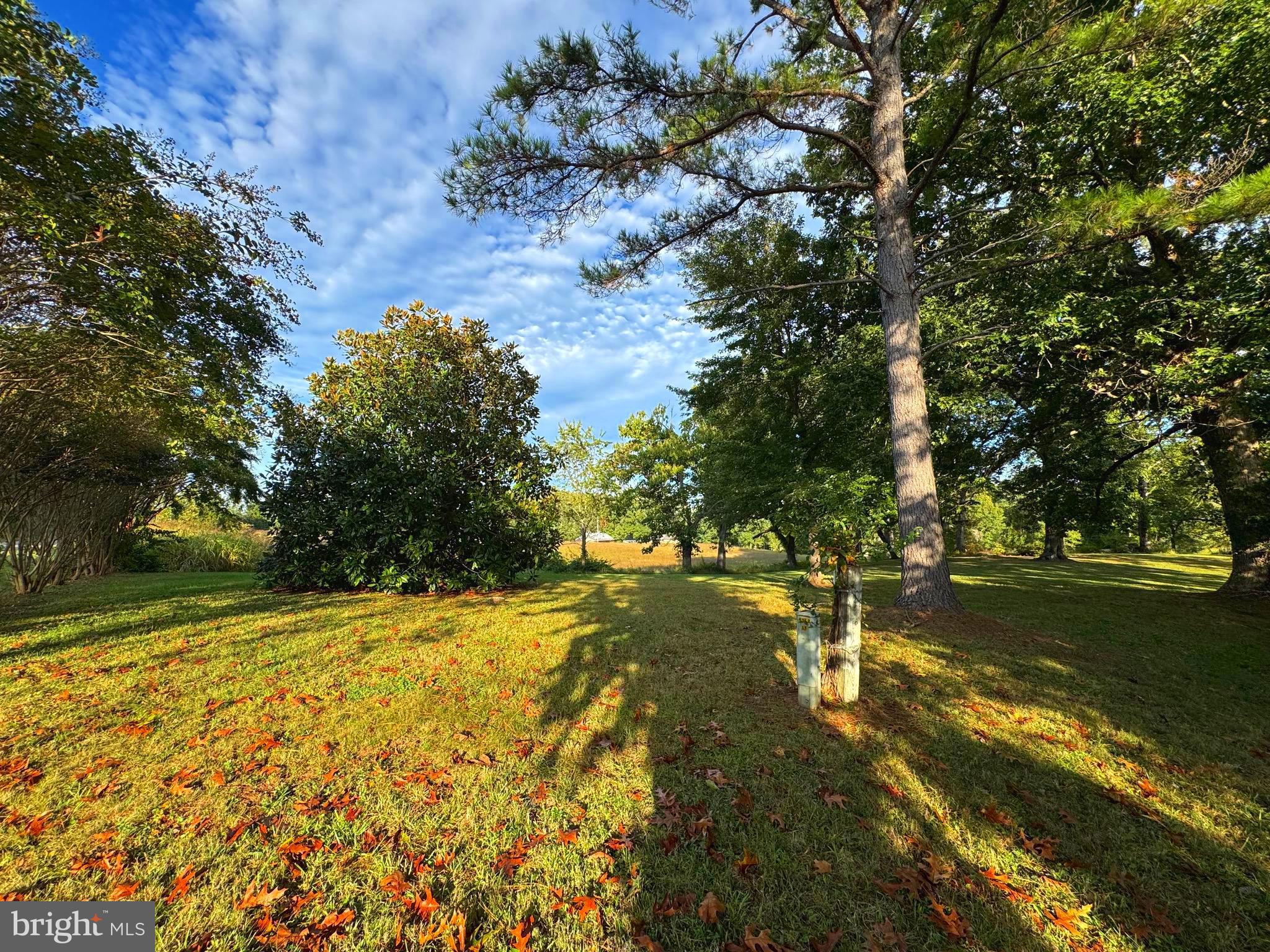 NONE AVAILABLE - Land